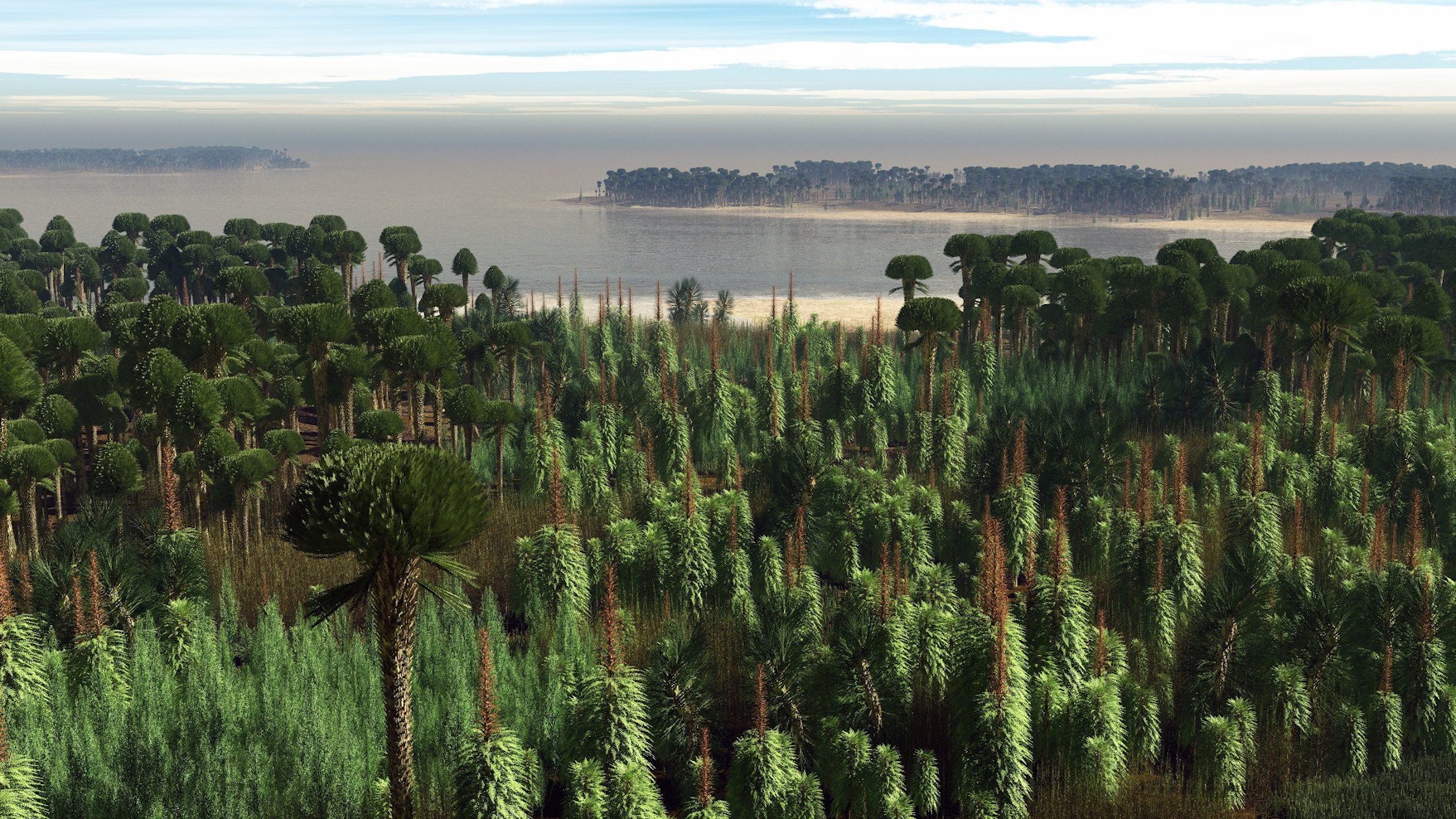 Rekonstruktion des ältesten Waldes der Welt in Lindlar, von M. Kriek, Amsterdam.