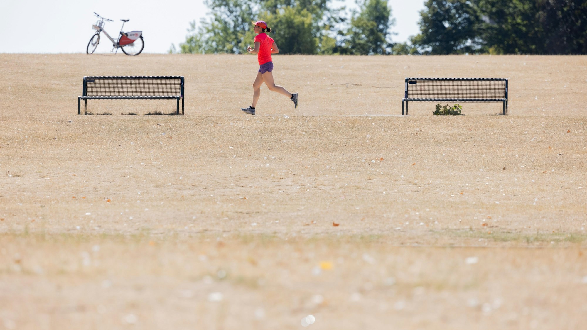 Eine Joggerin läuft in der Mittagshitze am Aachener Weiher durch vertrocknete Wiesen.
