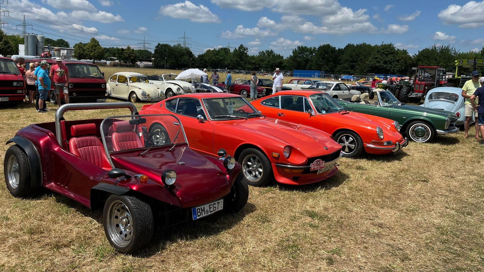 Autos stehen auf einer Wiese.