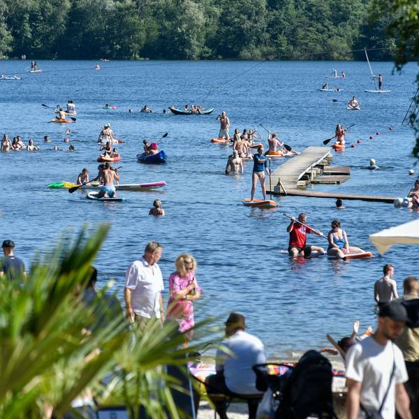 Badegäste schwimmen in einem See.