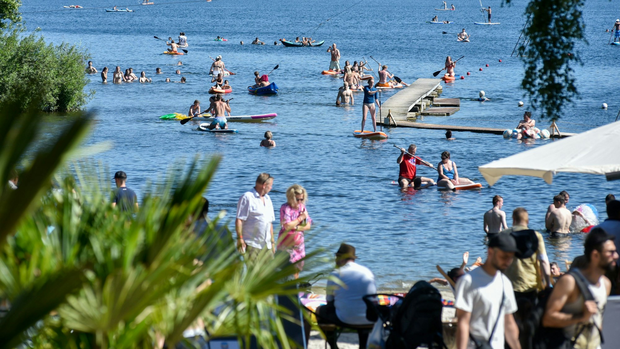 Badegäste schwimmen in einem See.