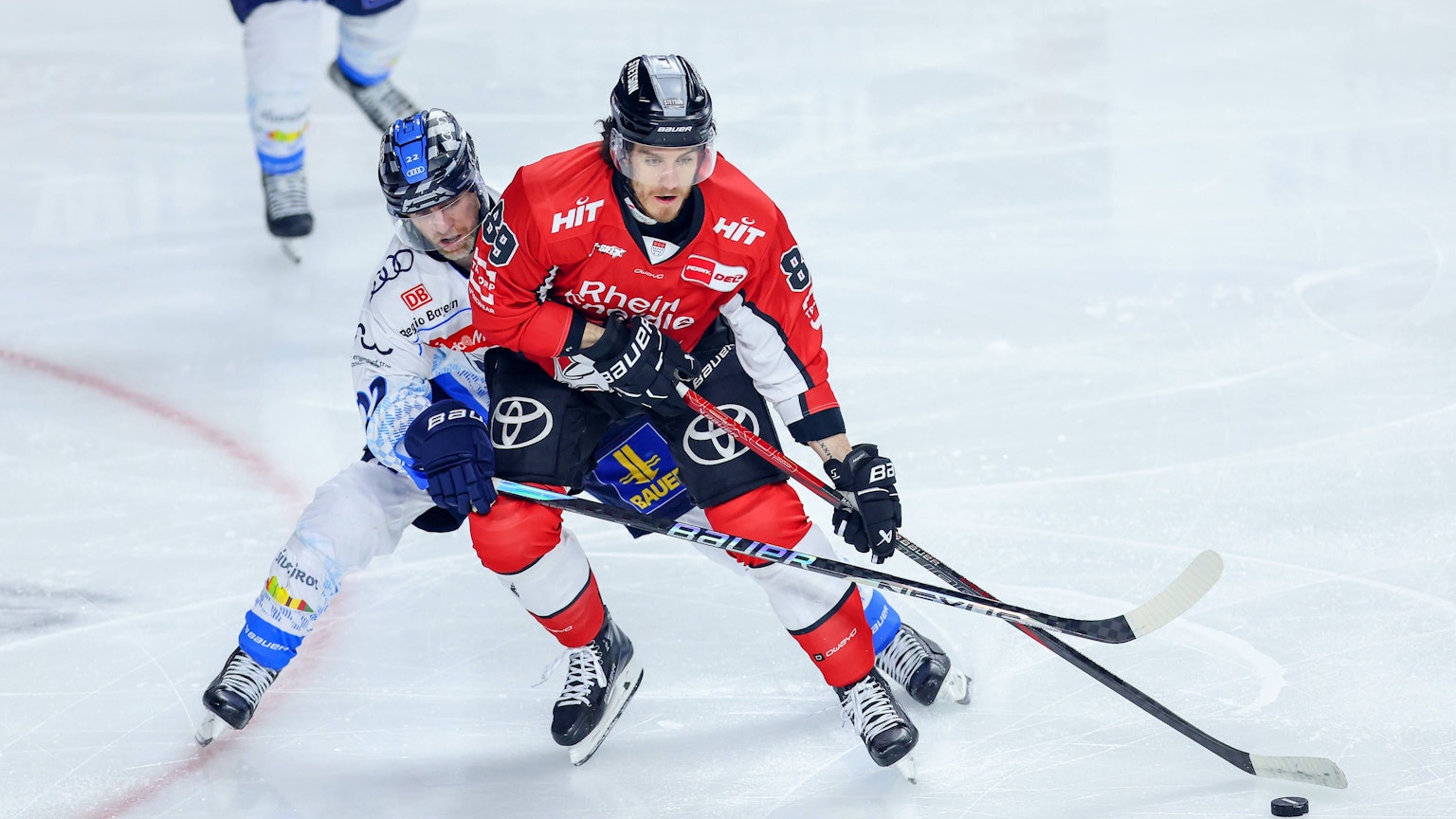 Mathew Bodie (l. ERC Ingolstadt) im Zweikampf gegen Haie-Stürmer Gregor MacLeod.