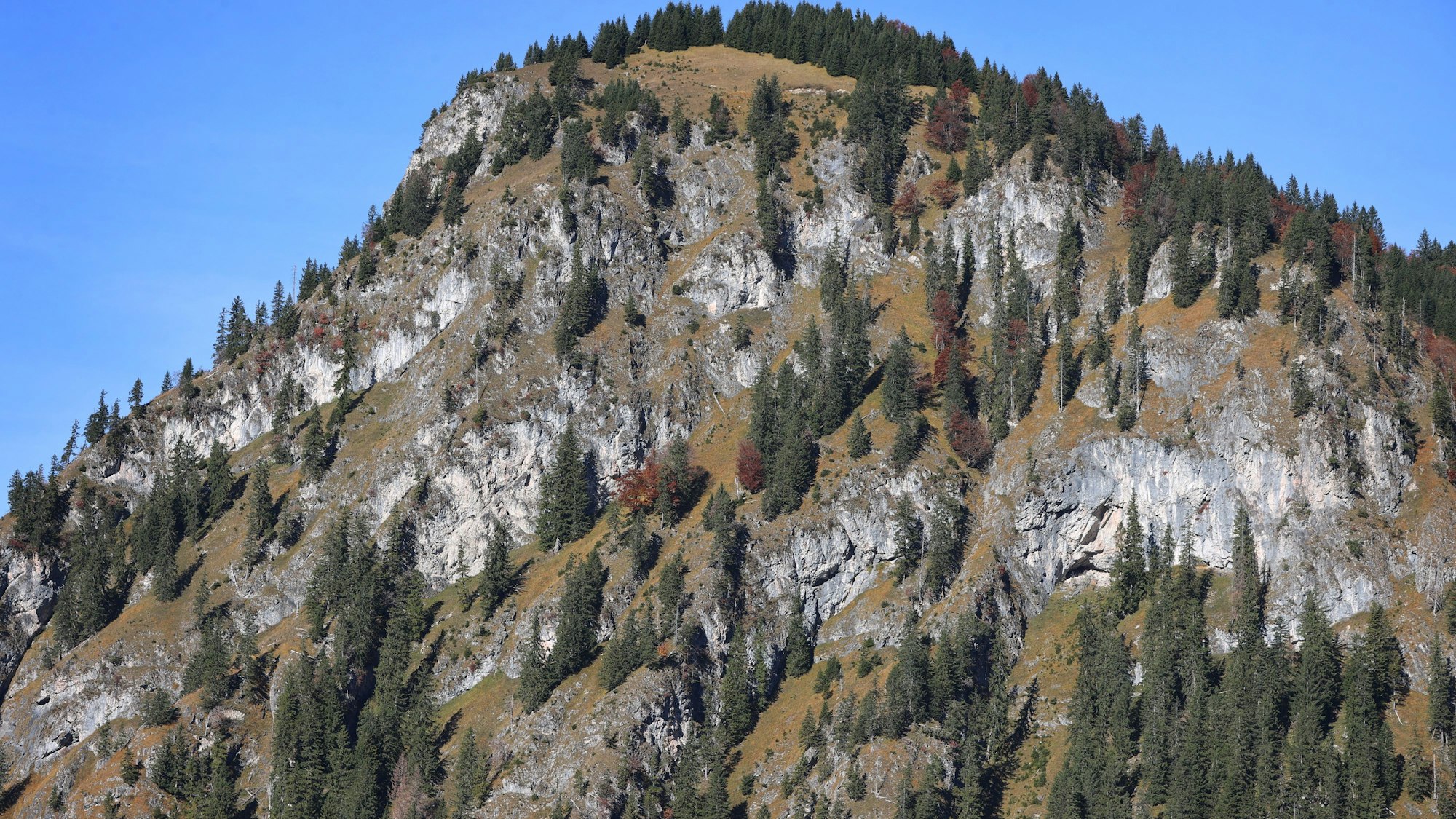 Eine Wanderin fiel in den Allgäuer Alpen fünfzig Meter tief und erlag trotz Rettung ihren Verletzungen im Krankenhaus. (Symbolbild)
