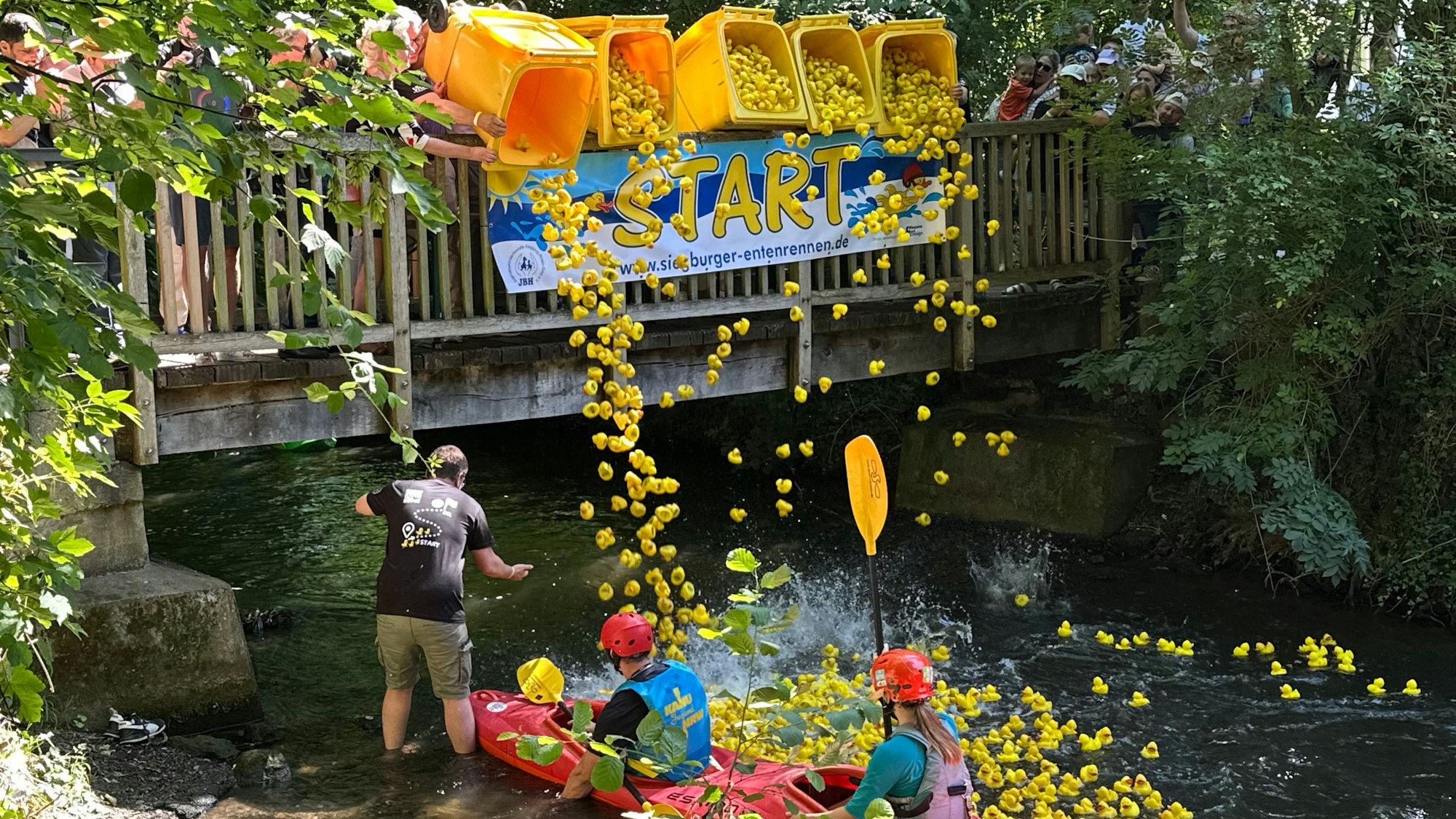 Entenrennen in Siegburg auf dem Mühlengraben.