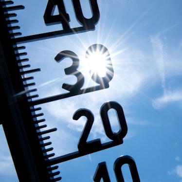 Deutschland hat sich gegenüber der vorindustriellen Zeit um 2,5 Grad erwärmt, warnt der Deutsche Wetterdienst.