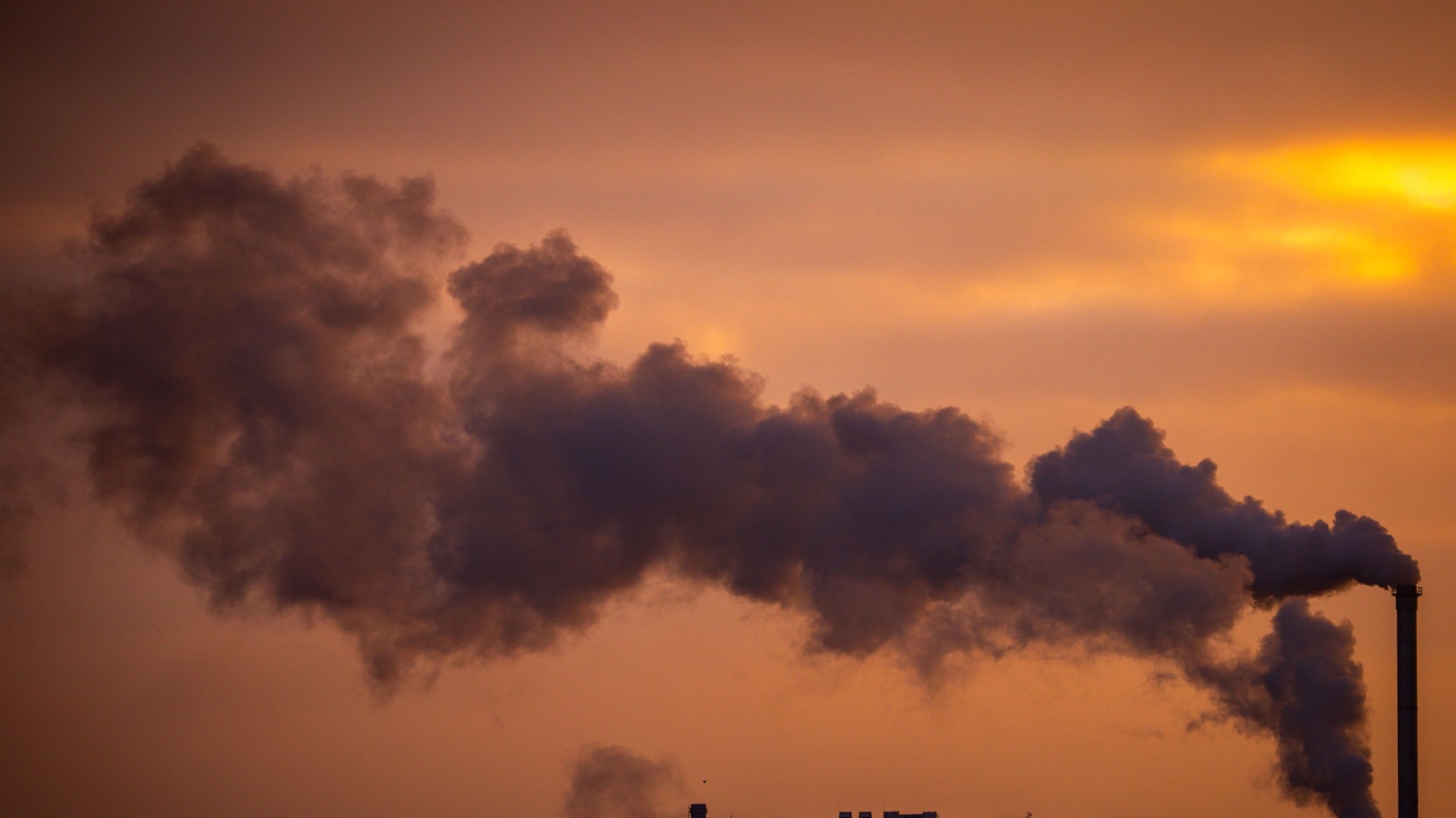 Rauch steigt aus Schornsteinen von holzverarbeitenden Industriebetrieben (Archivbild)