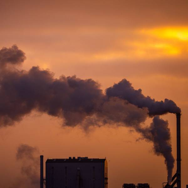 Rauch steigt aus Schornsteinen von holzverarbeitenden Industriebetrieben (Archivbild)