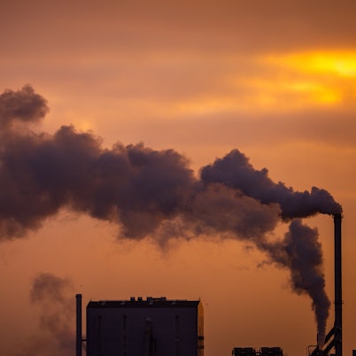 Rauch steigt aus Schornsteinen von holzverarbeitenden Industriebetrieben (Archivbild)