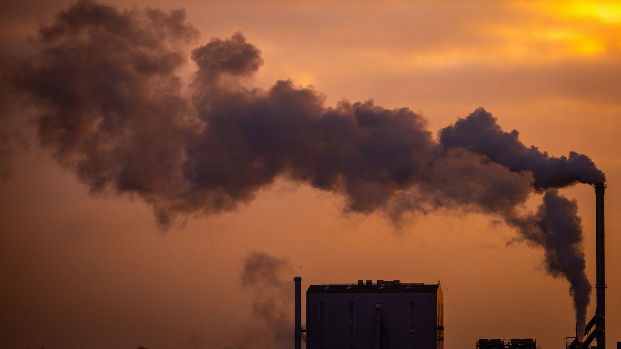 Rauch steigt aus Schornsteinen von holzverarbeitenden Industriebetrieben (Archivbild)