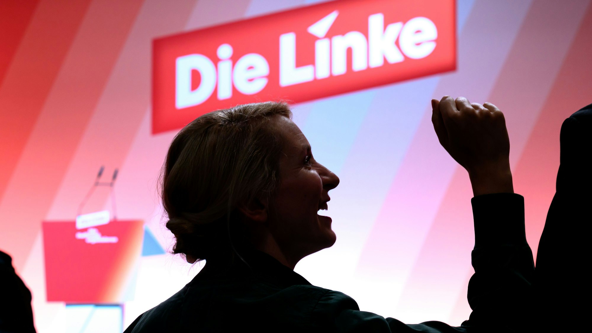 Steht in bundesweiten Umfragen derzeit bei rund zehn Prozent: Die Linke.