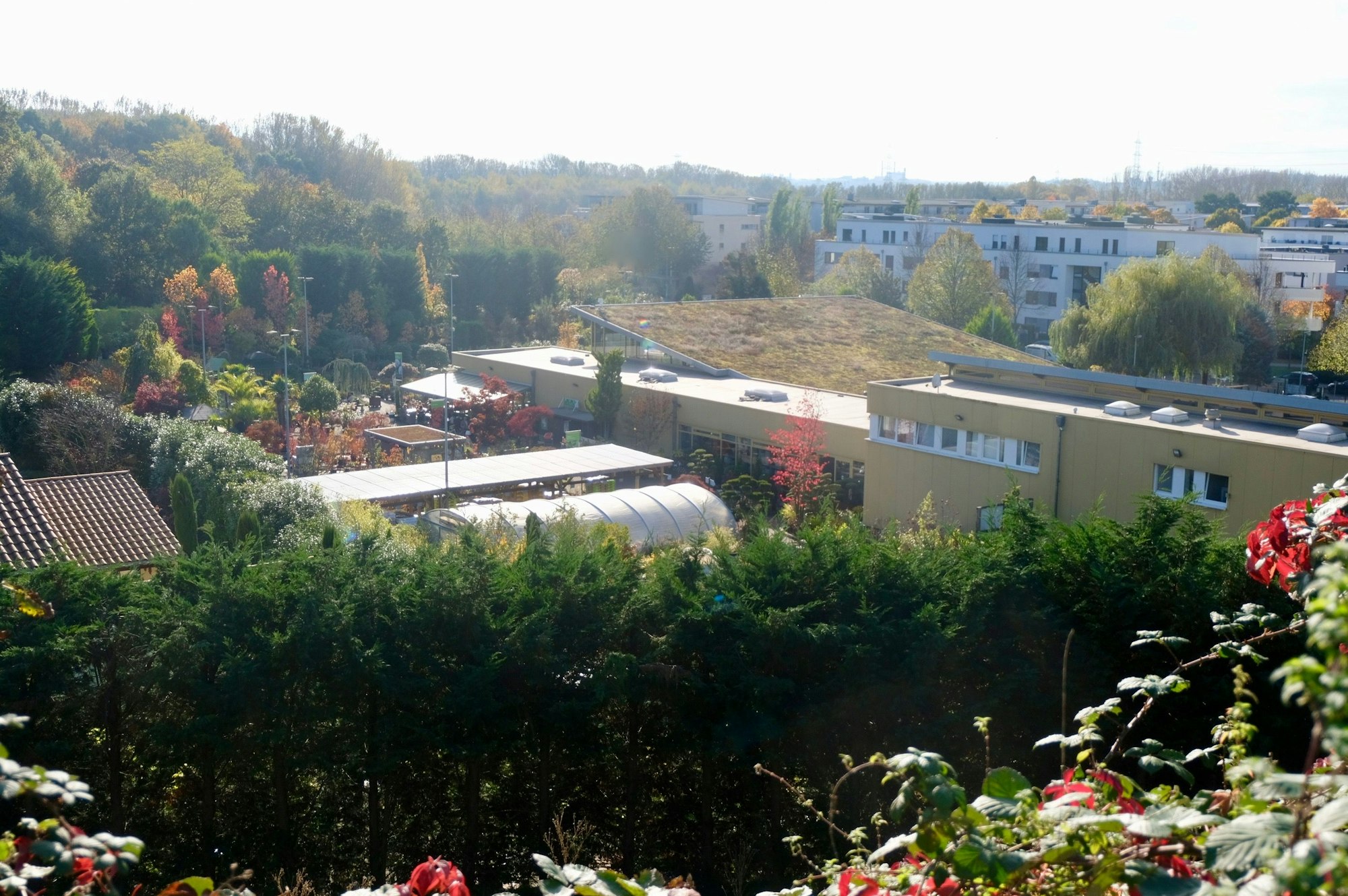 Blick von oben auf das Gelände eines Gartenbaubetriebs