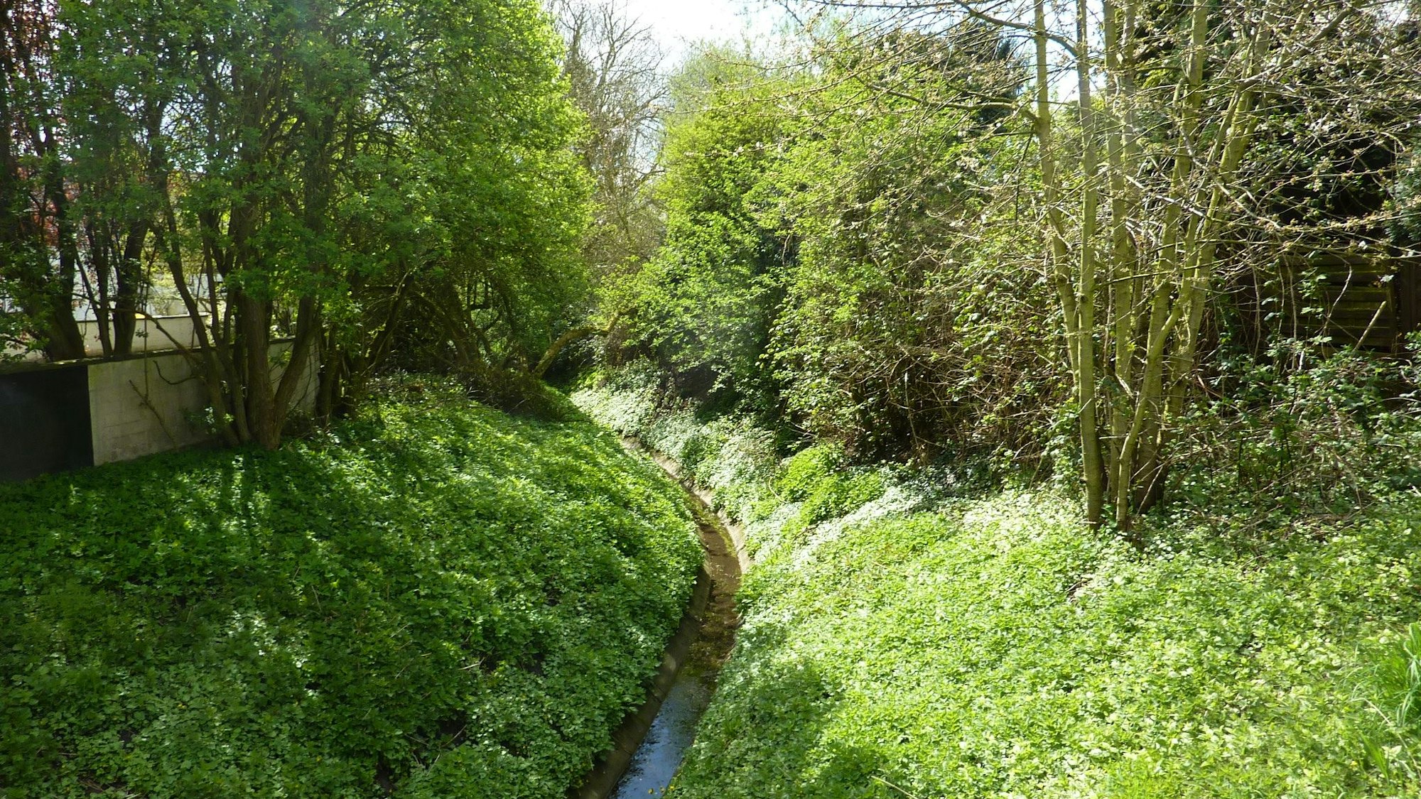 Das Bild zeigt den Pletschbach in Köln-Worringen. Foto: Chris06 / Wikicommons-Lizenz CC0 1.0 Universal Deed