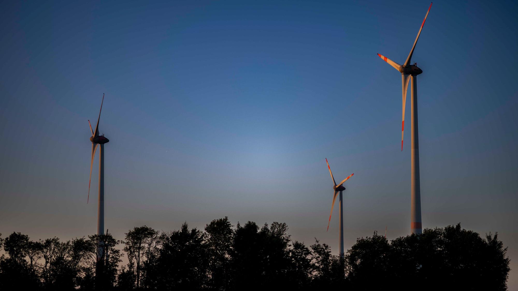 Das Bild zeigt drei Windräder, im Vordergrund Bäume.