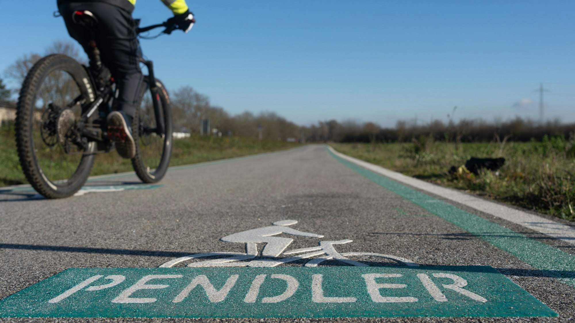 Ein Radfahrer fährt bei Bingen über den ersten Abschnitt der neuen Pendler-Radroute (PRR) Bingen-Mainz. +++ dpa-Bildfunk +++