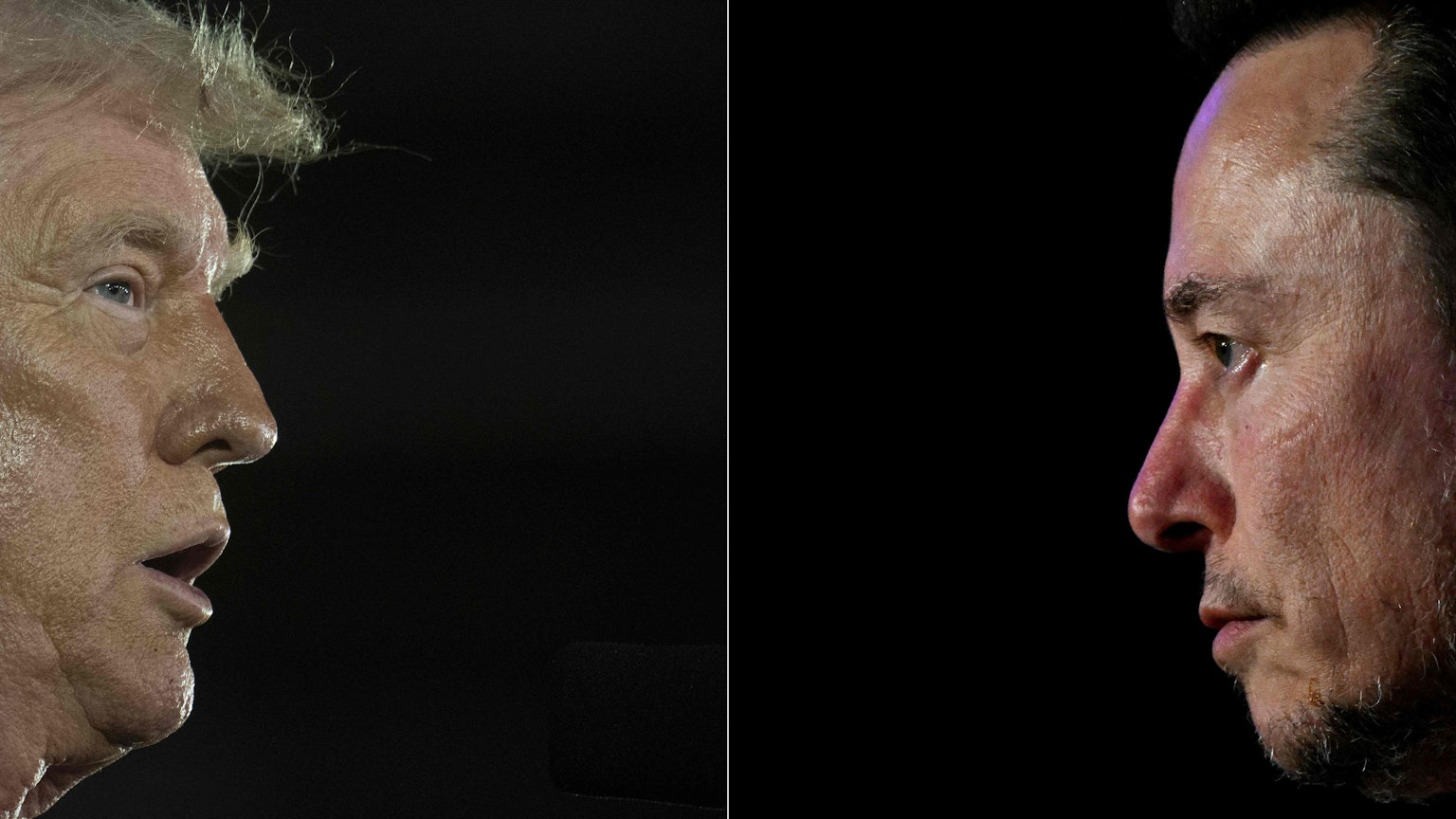 Bildzusammenschnitt von US-Präsident Trump (li) und Tech-Milliadär Elon Musk (r) im Profil.