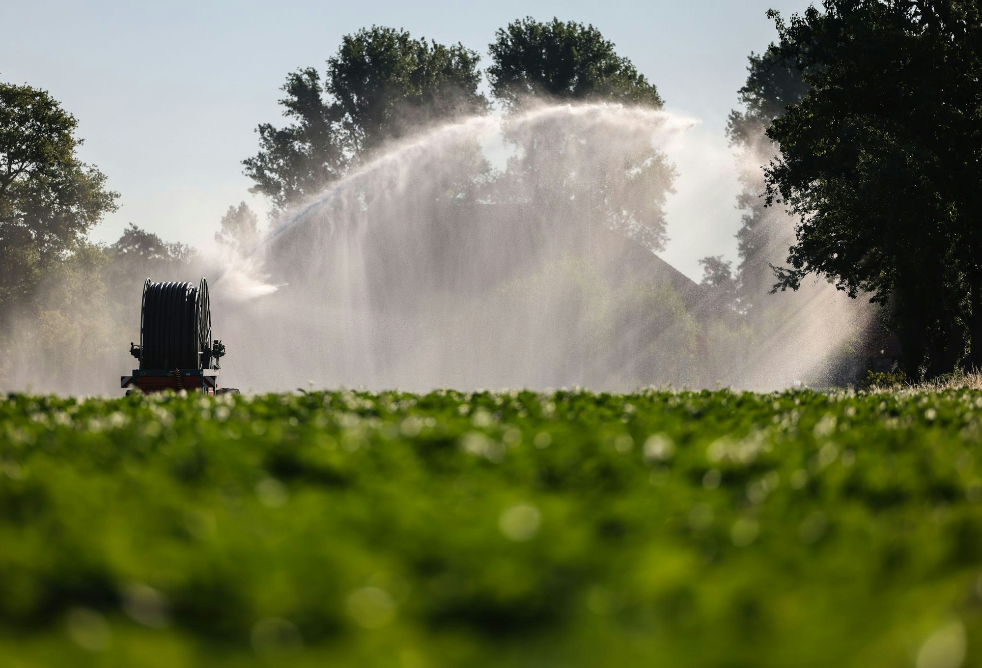 Die Temperaturen in NRW können am Mittwoch bis zu 39 Grad erreichen. Auf den Feldern fehlt es schon jetzt an Wasser.