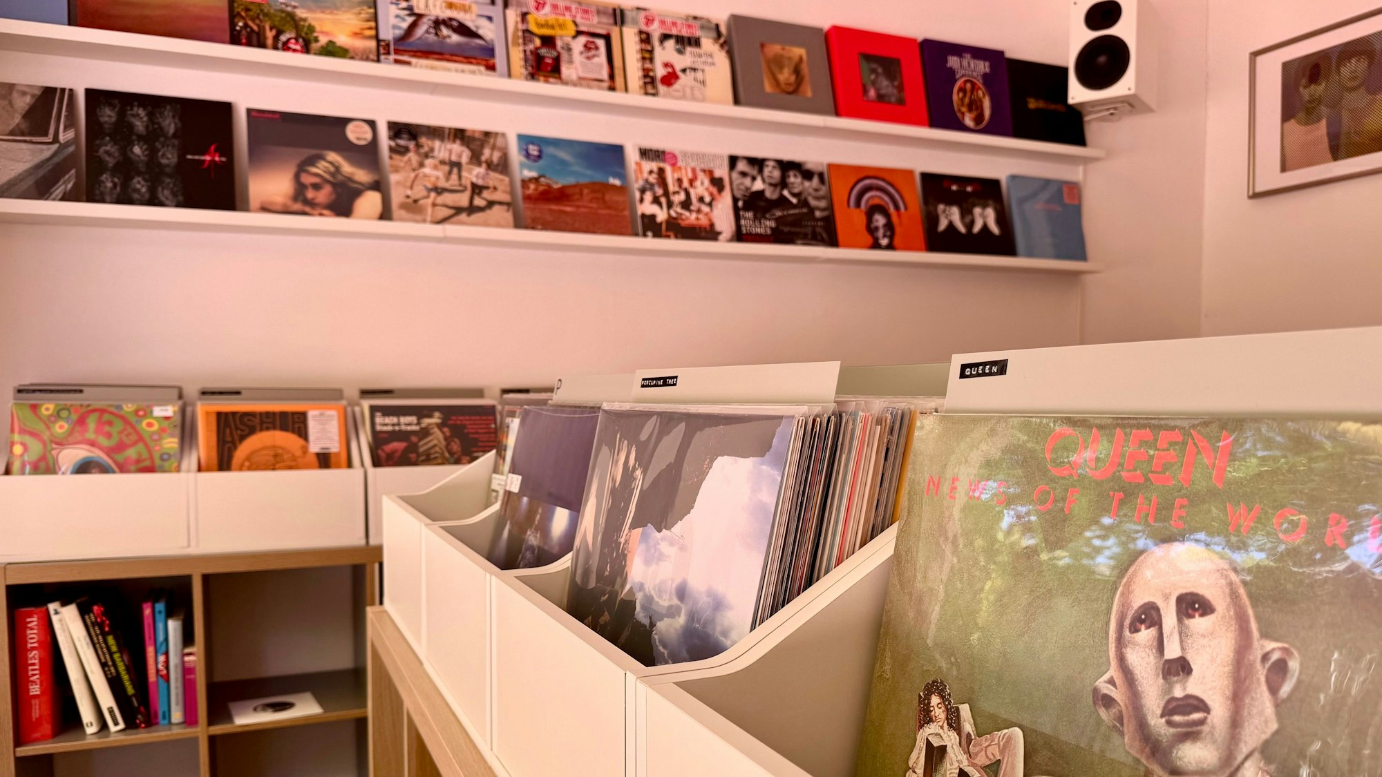 Auf dem Bild sind Langspielplatten in Regalen zu sehen.