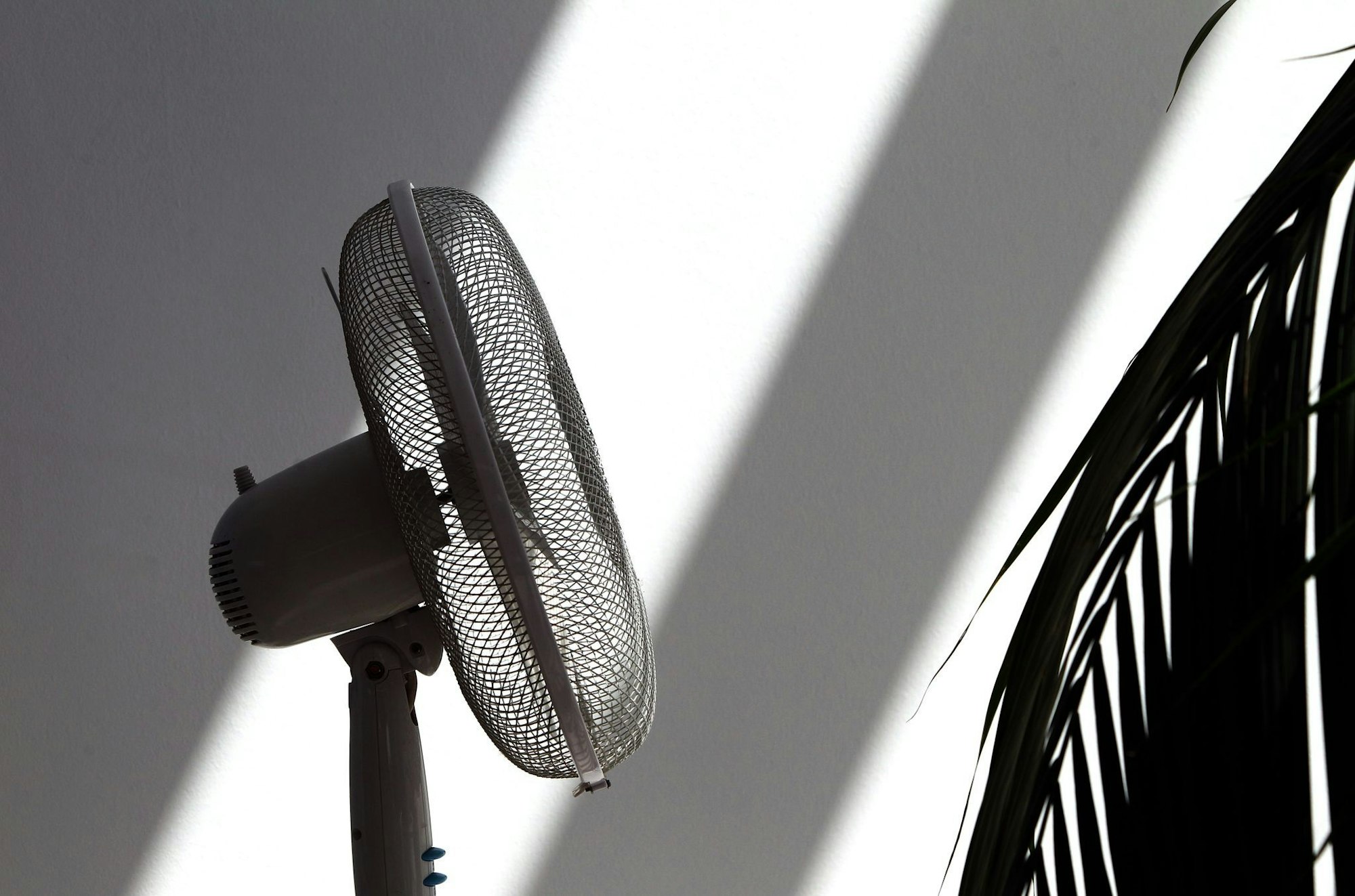Ein Ventilator verschafft zumindest ein bisschen frische Luft bei Hitze.