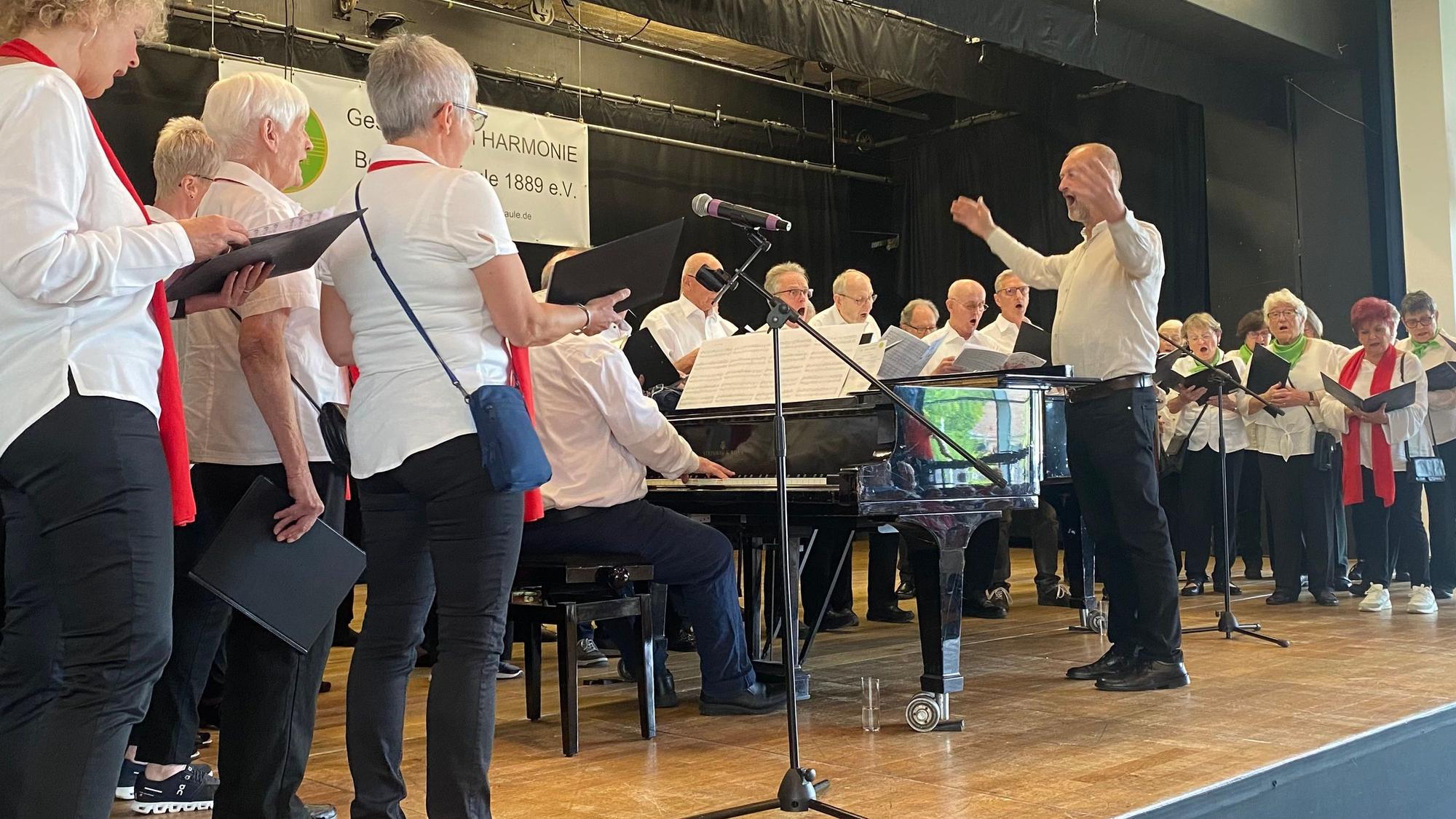 Das Foto zeigt ein Konzert im Albertus-Magnus-Gymnasium