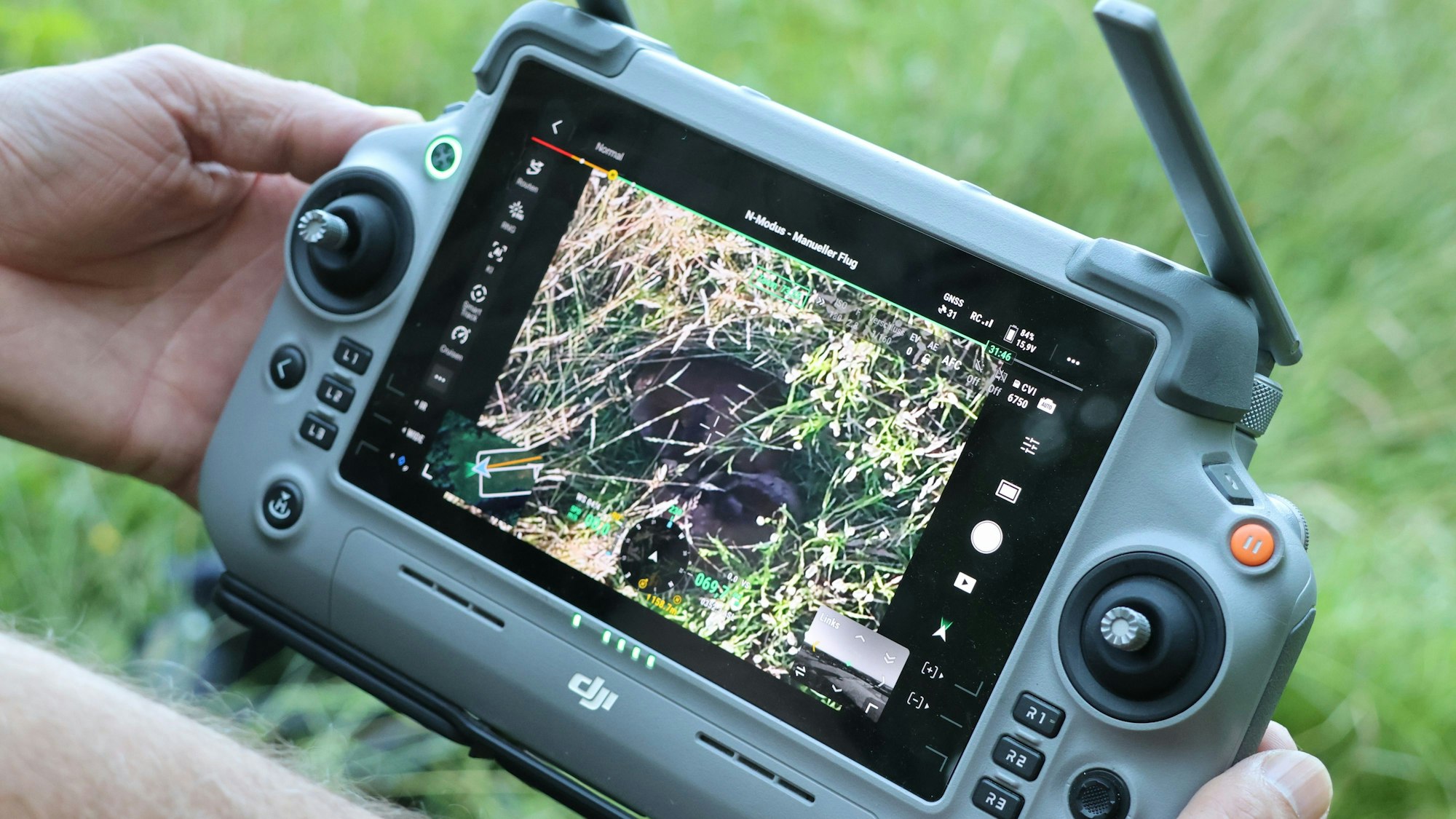 Das im Gras verborgenes Rehkitz ist auf dem Display der Drohnenfernsteuerung gut zu erkennen.