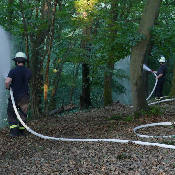 Feuerwehrleute löschen im Wald.