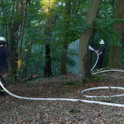 Feuerwehrleute löschen im Wald.