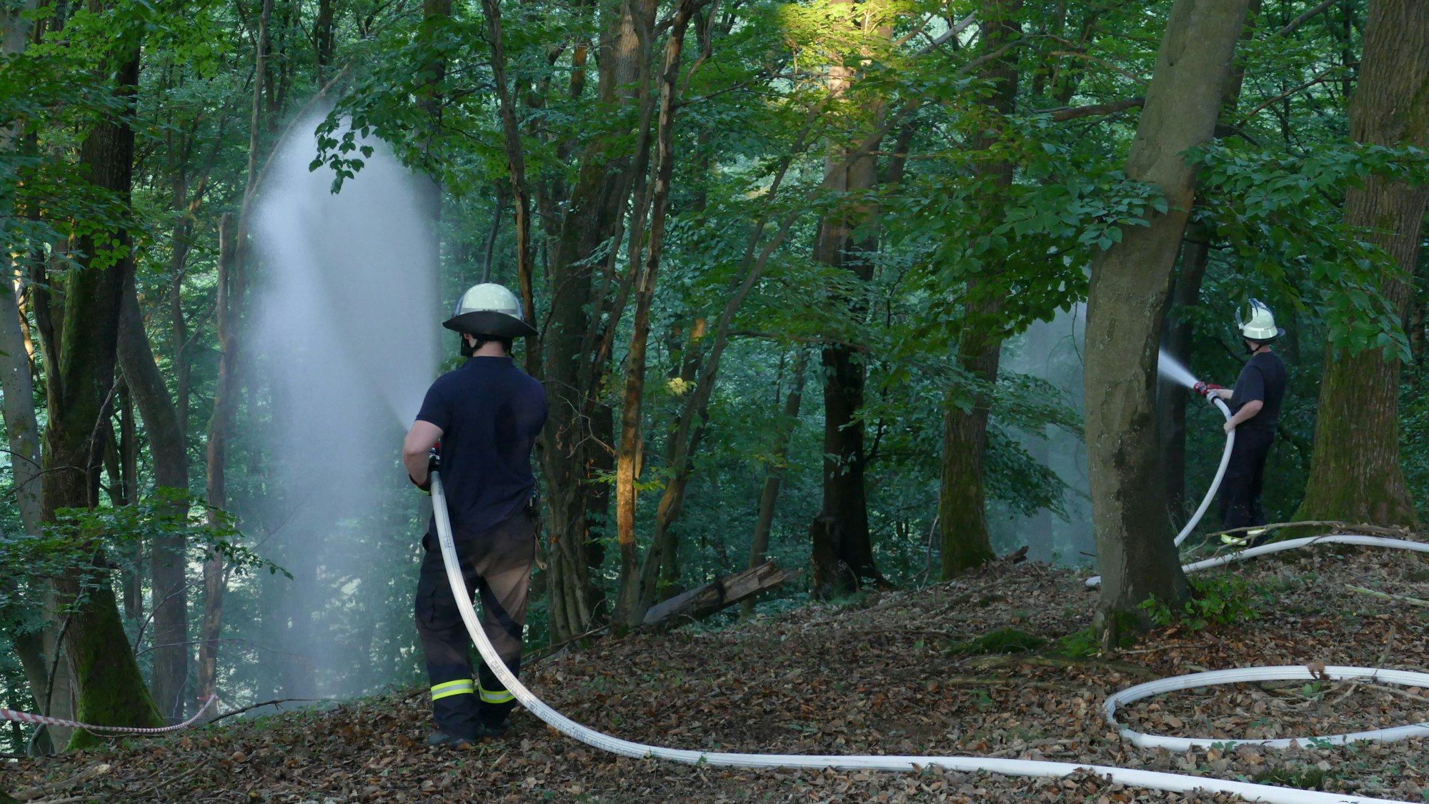 Feuerwehrleute löschen im Wald.