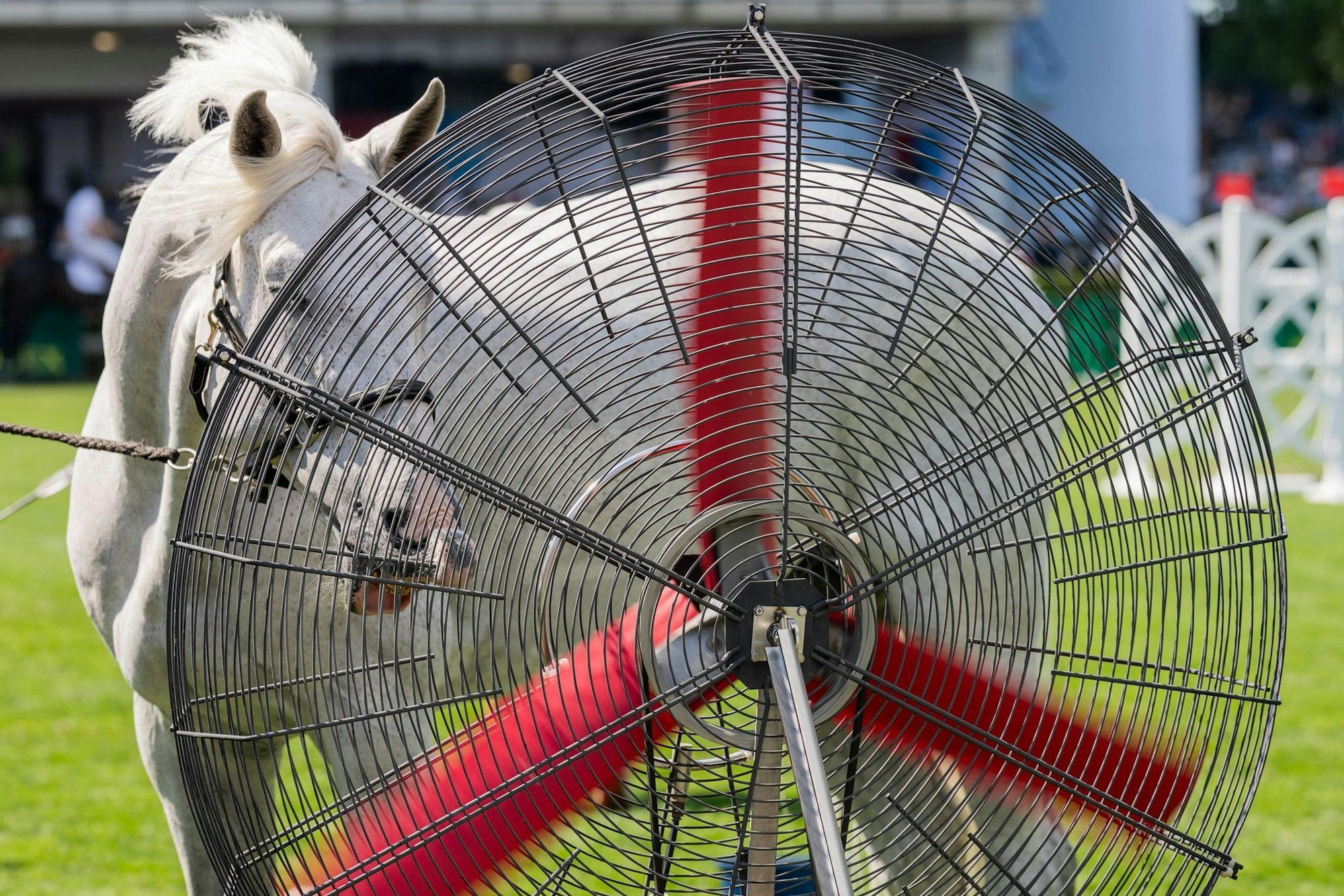 Für die Kühlung der Pferde gibt es beim CHIO Ventilatoren.