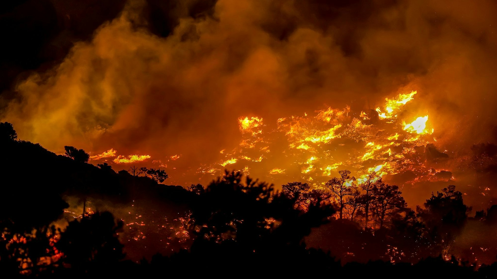 Laut griechischem Rundfunk ERTnews wurden auf Kreta rund 5.000 Touristen und Einheimische in Sicherheit gebracht.
