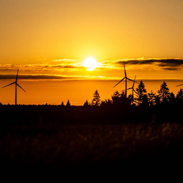 Das Symbolbild zeigt Windräder im Sonnenuntergang.
