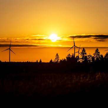 Das Symbolbild zeigt Windräder im Sonnenuntergang.