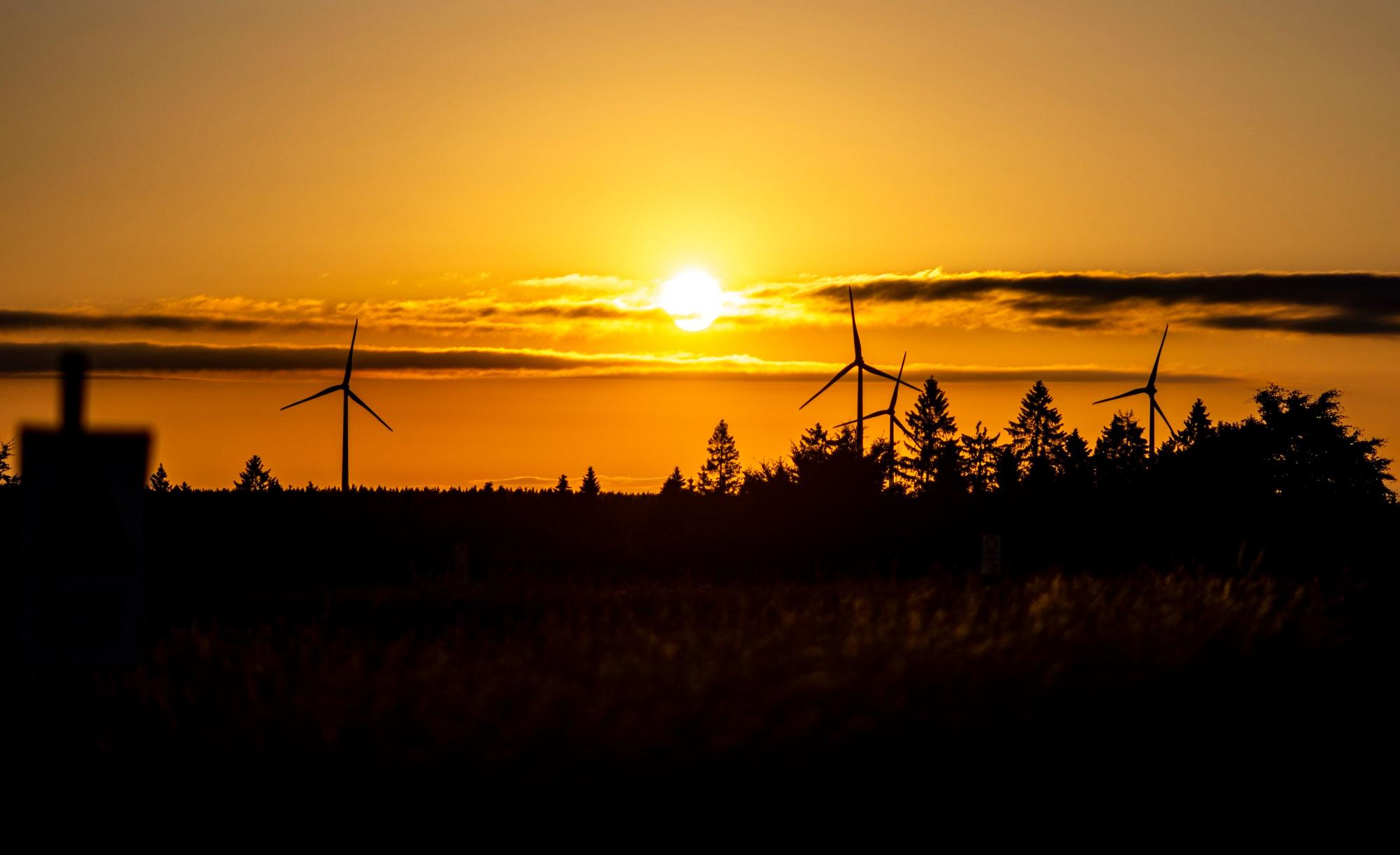 Umrisse von Windrädern und Bäumen im Sonnenuntergang.