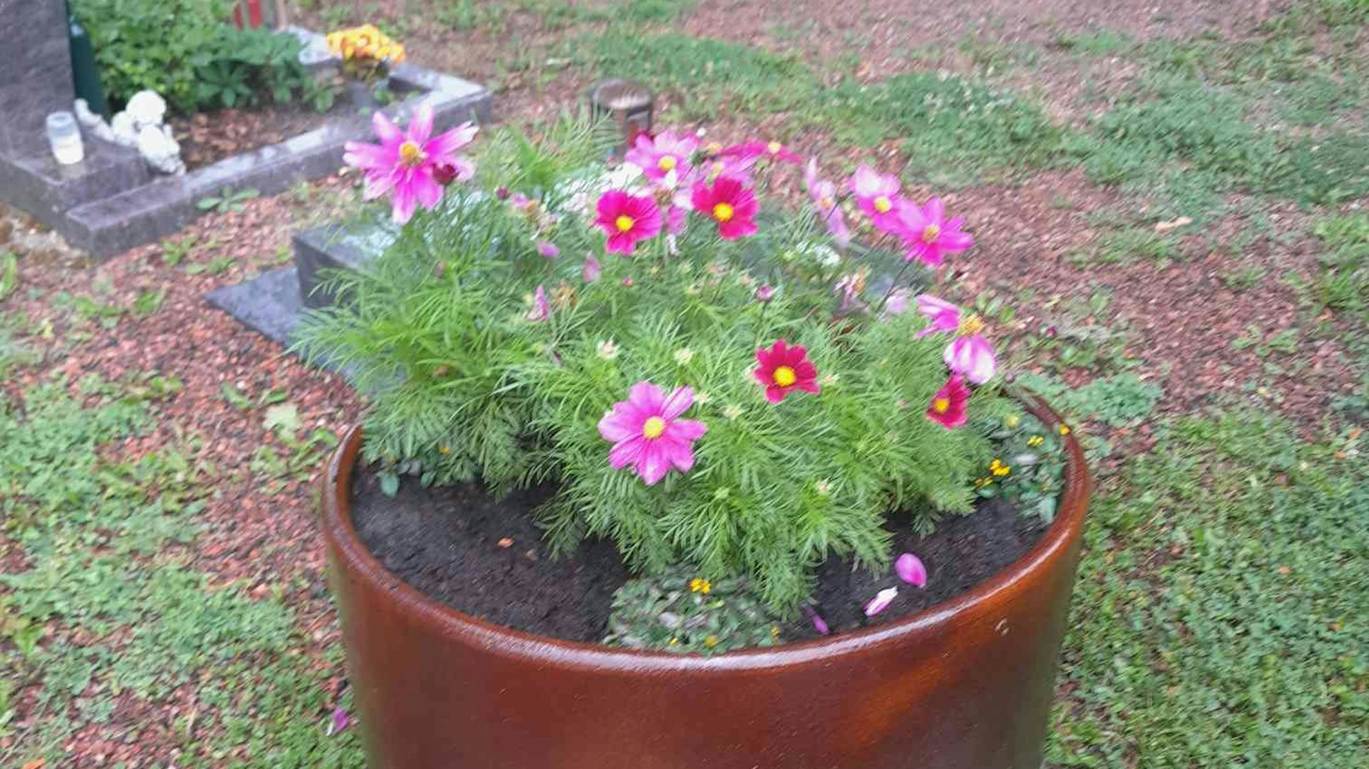 Auf dem Bild ist ein bepflanzter Blumenkübel auf einem Friedhof zu sehen.