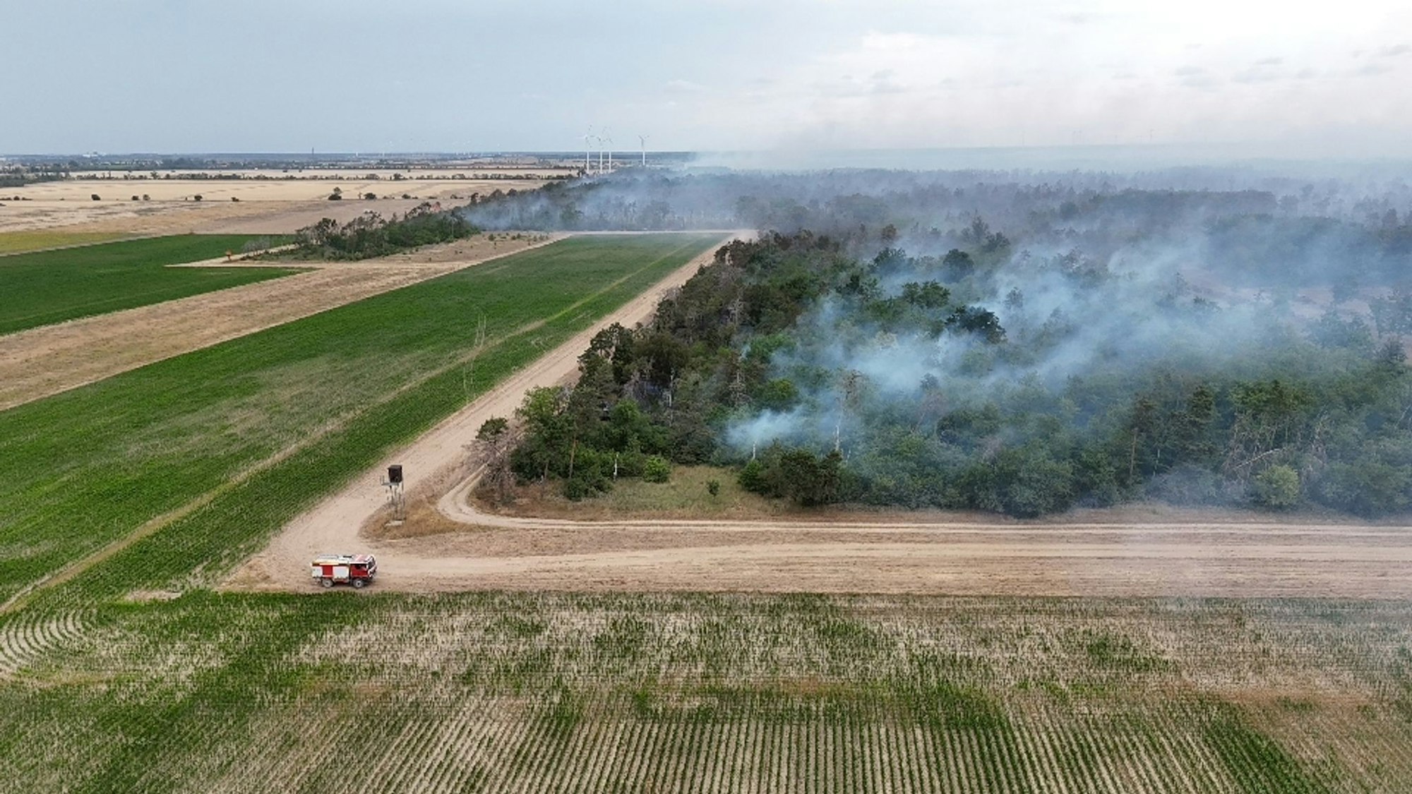 Wegen des Waldbrands in der Gohrischheide wurde Katastrophenalarm ausgelöst.