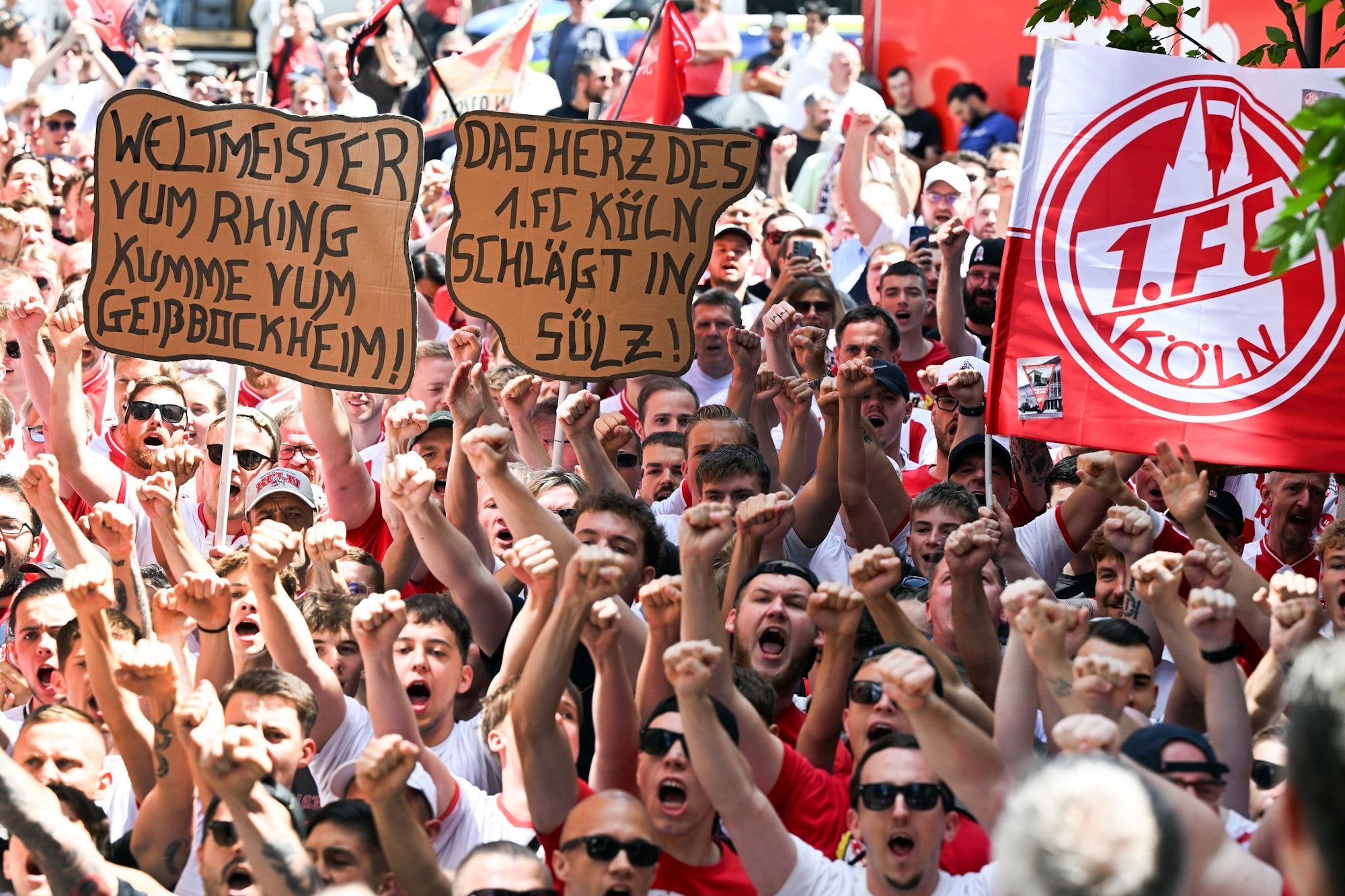 Kölner Fans wünschen sich den Ausbau des Trainingszentrums.
