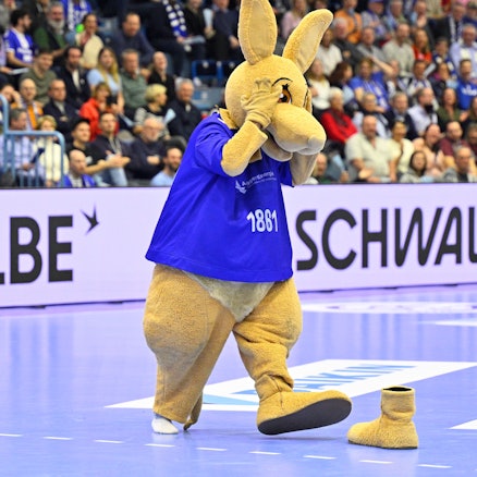 Zu sehen ist das Maskottchen des VfL Gummersbach in der Schwalbe-Arena.