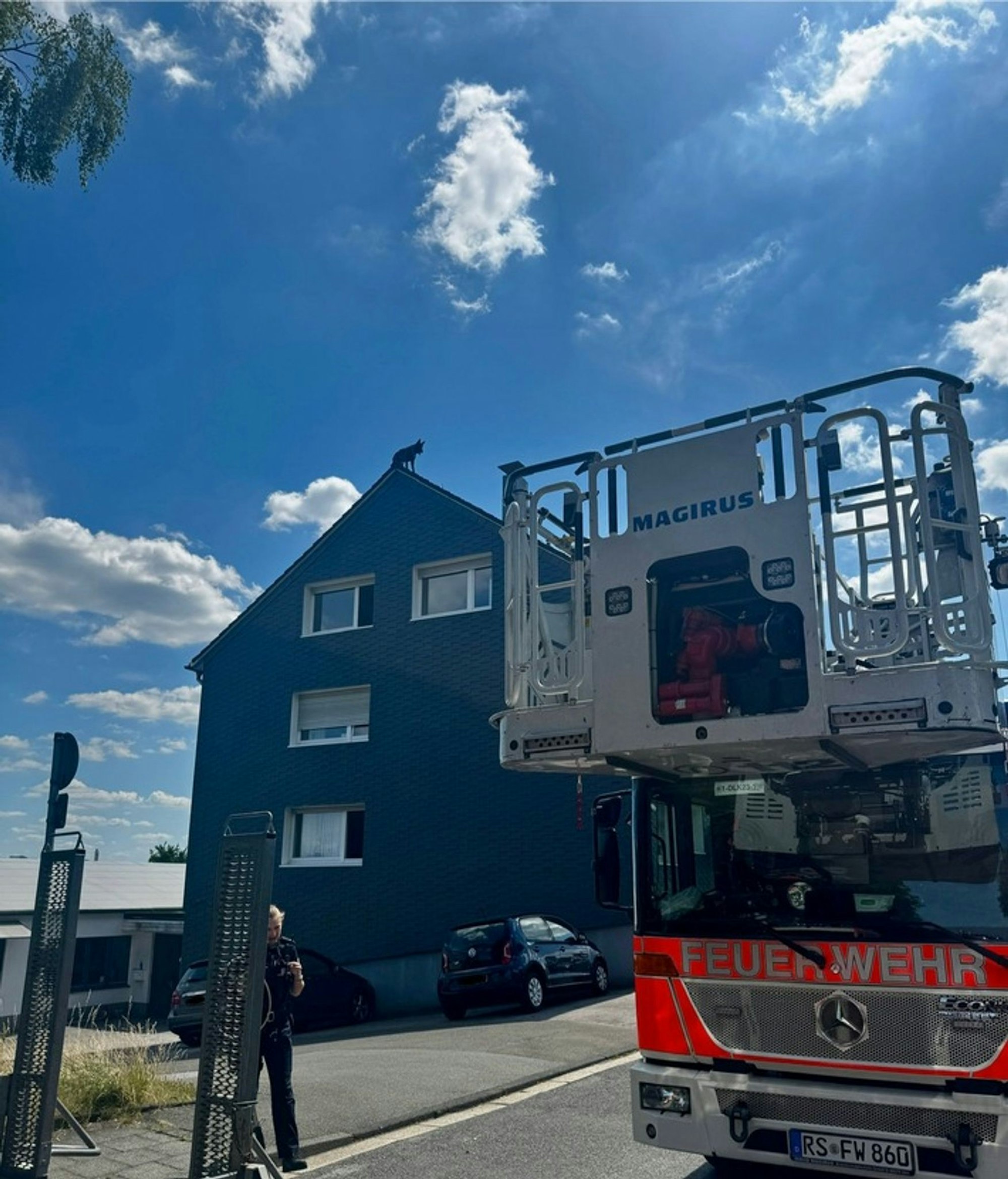 Zur Rettung des jungen Tieres bauten die Feuerwehrleute ein Sprungpolster auf und brachten eine Drehleiter in Stellung.