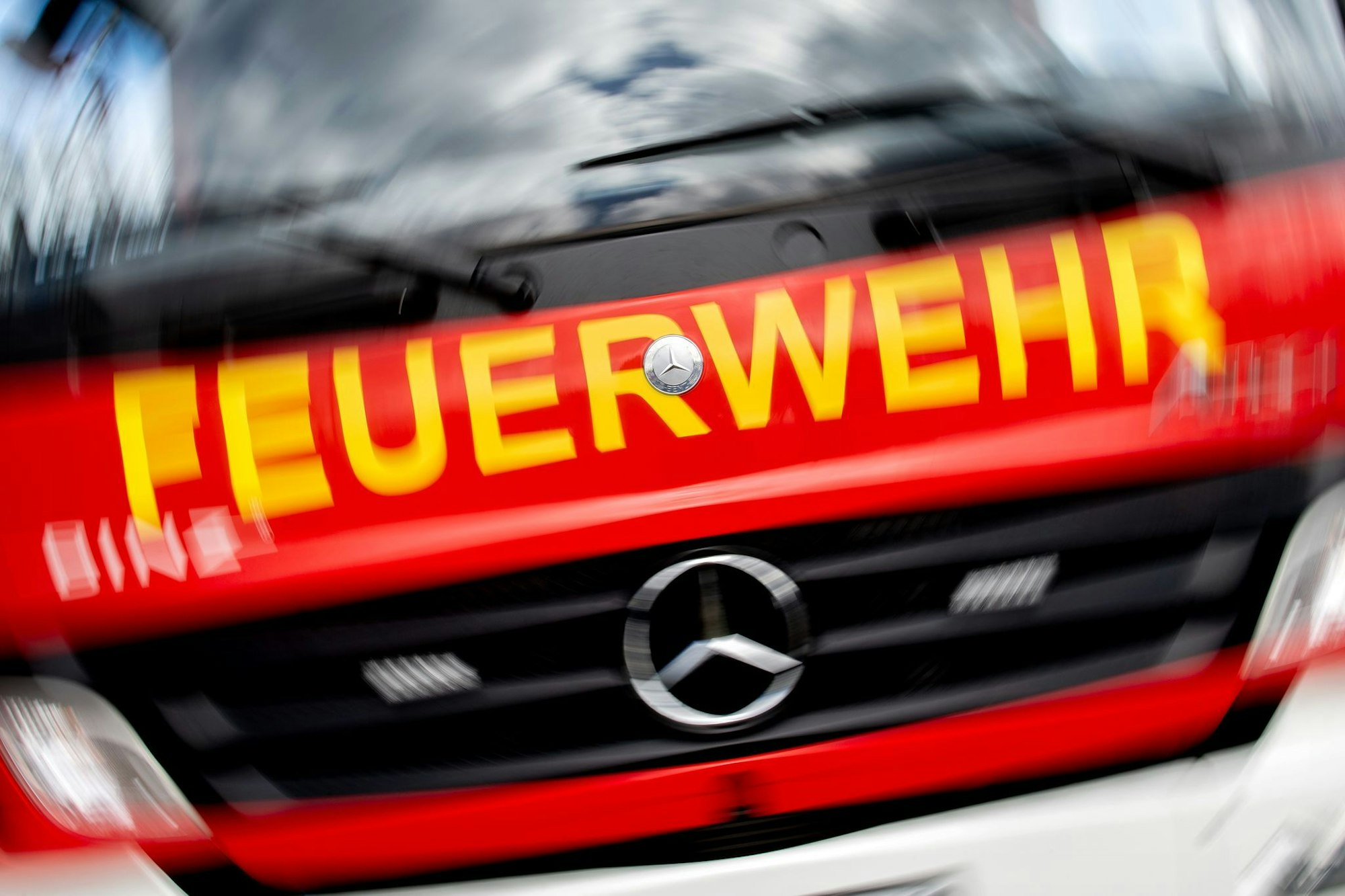 Die Feuerwehr hat einen Hund von einem Dach gerettet. (Symbolbild)