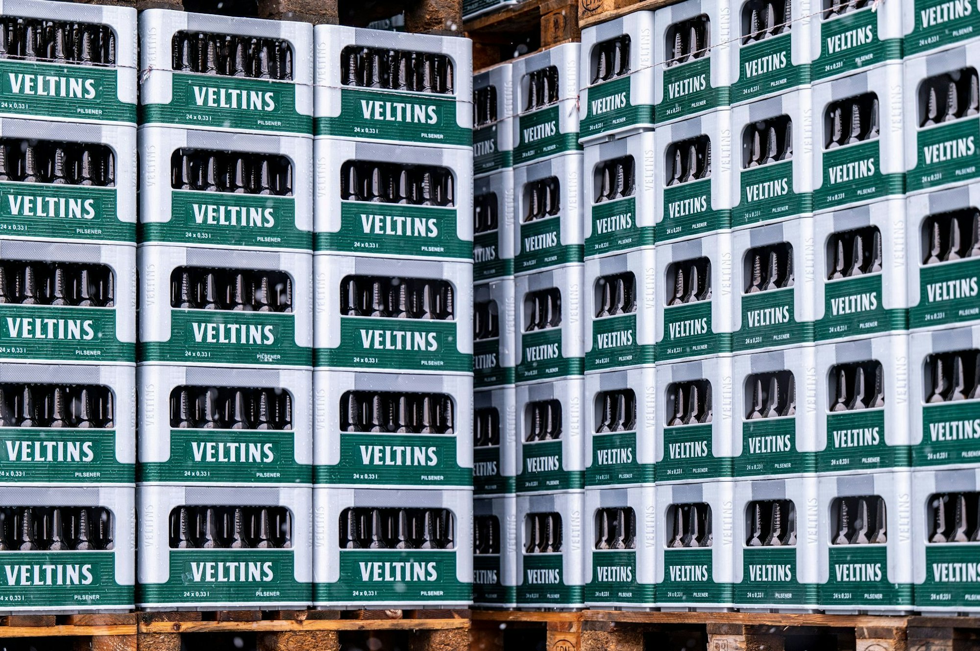 Die Großbrauerei Veltins steigert ihren Absatz entgegen dem schrumpfenden Branchentrend. (Archivbild)