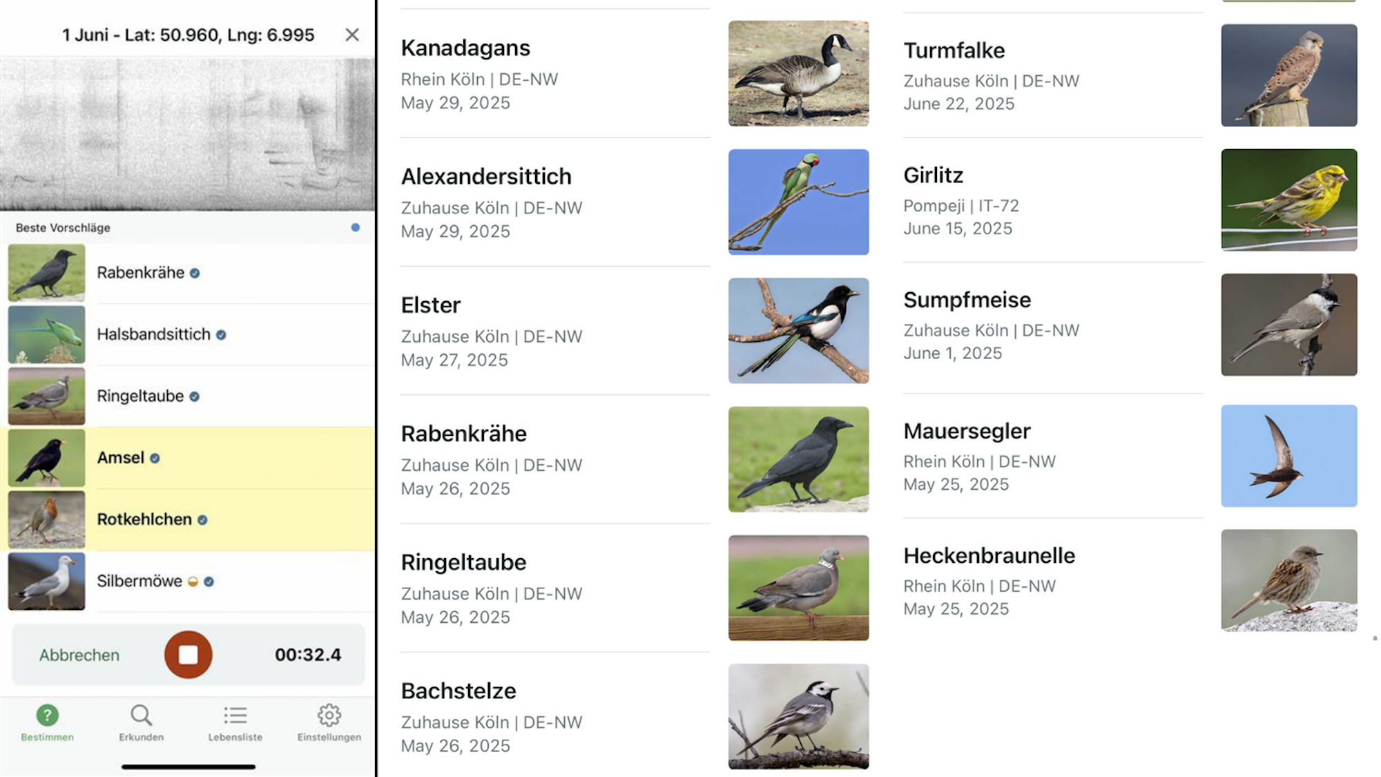 Ein Screenshot aus der App zeigt eine Liste der aufgenommenen und erkannten Vogelarten.