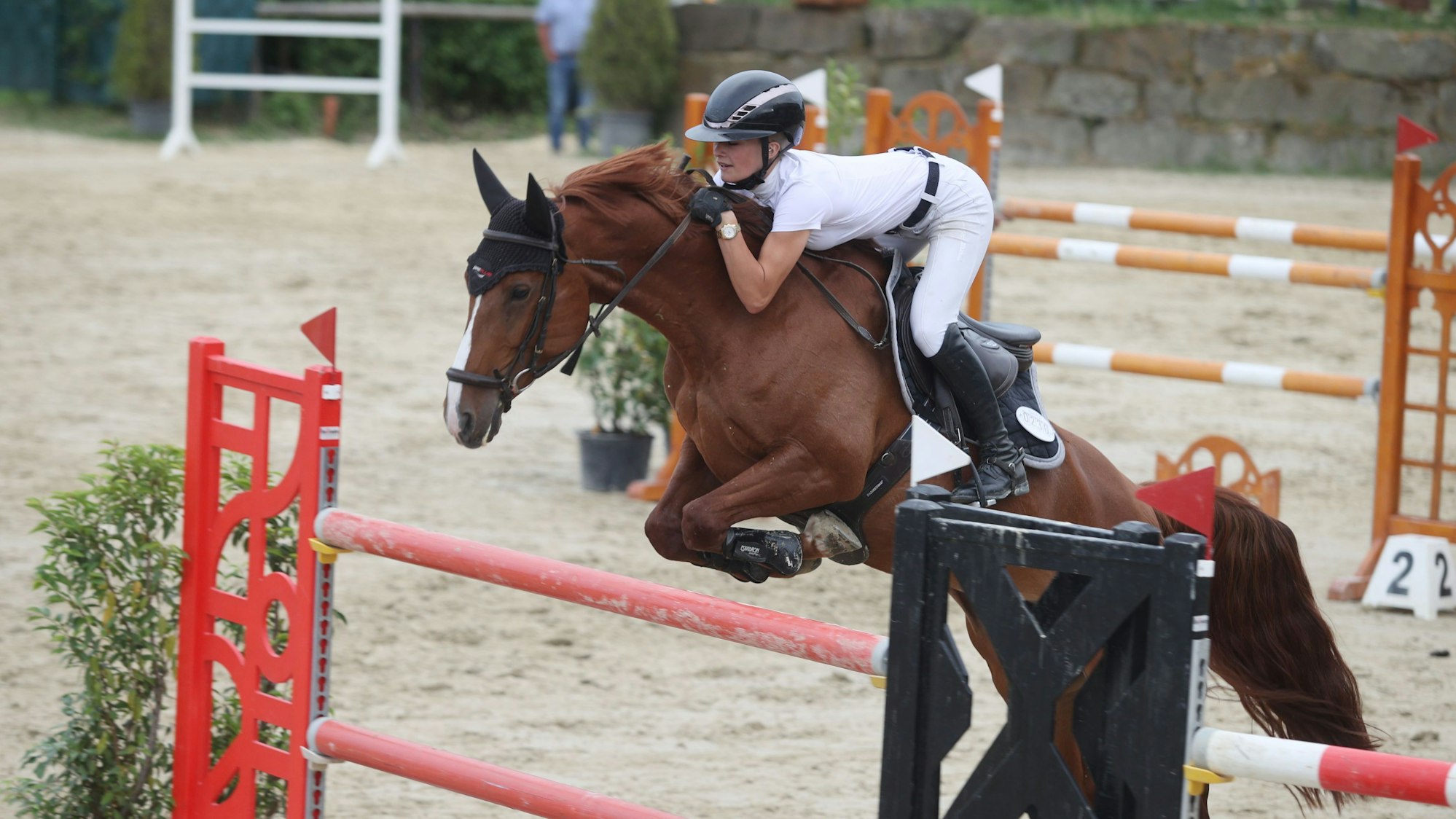 Zu sehen ist eine Springreiterin auf ihrem Pferd im Parcours.