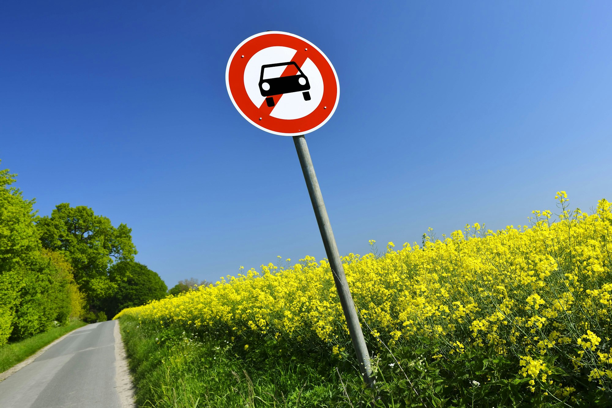 Neben einer Straße steht ein Schild, auf dem ein Auto durchgestrichen ist.