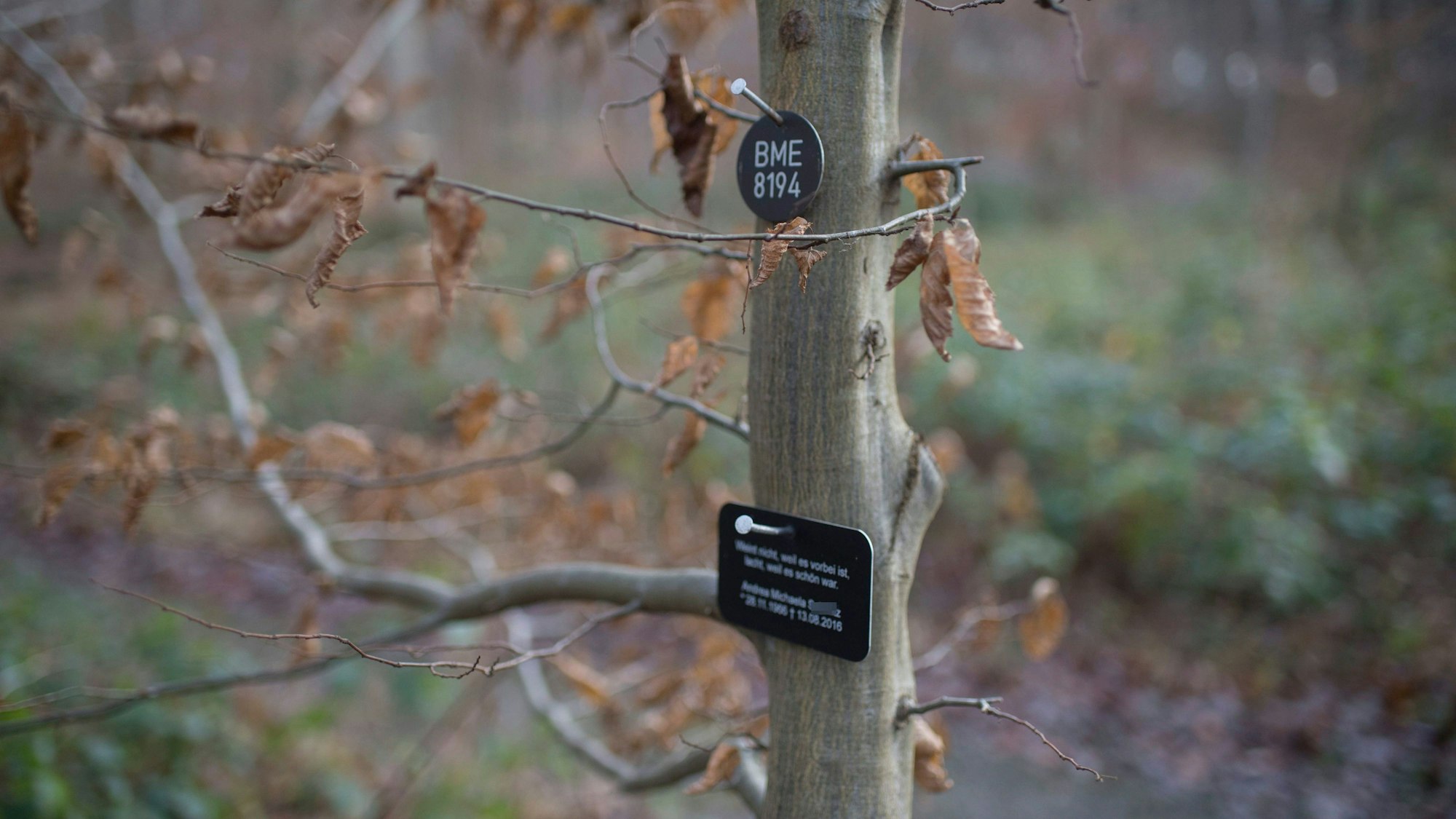 Friedwald Iversheim