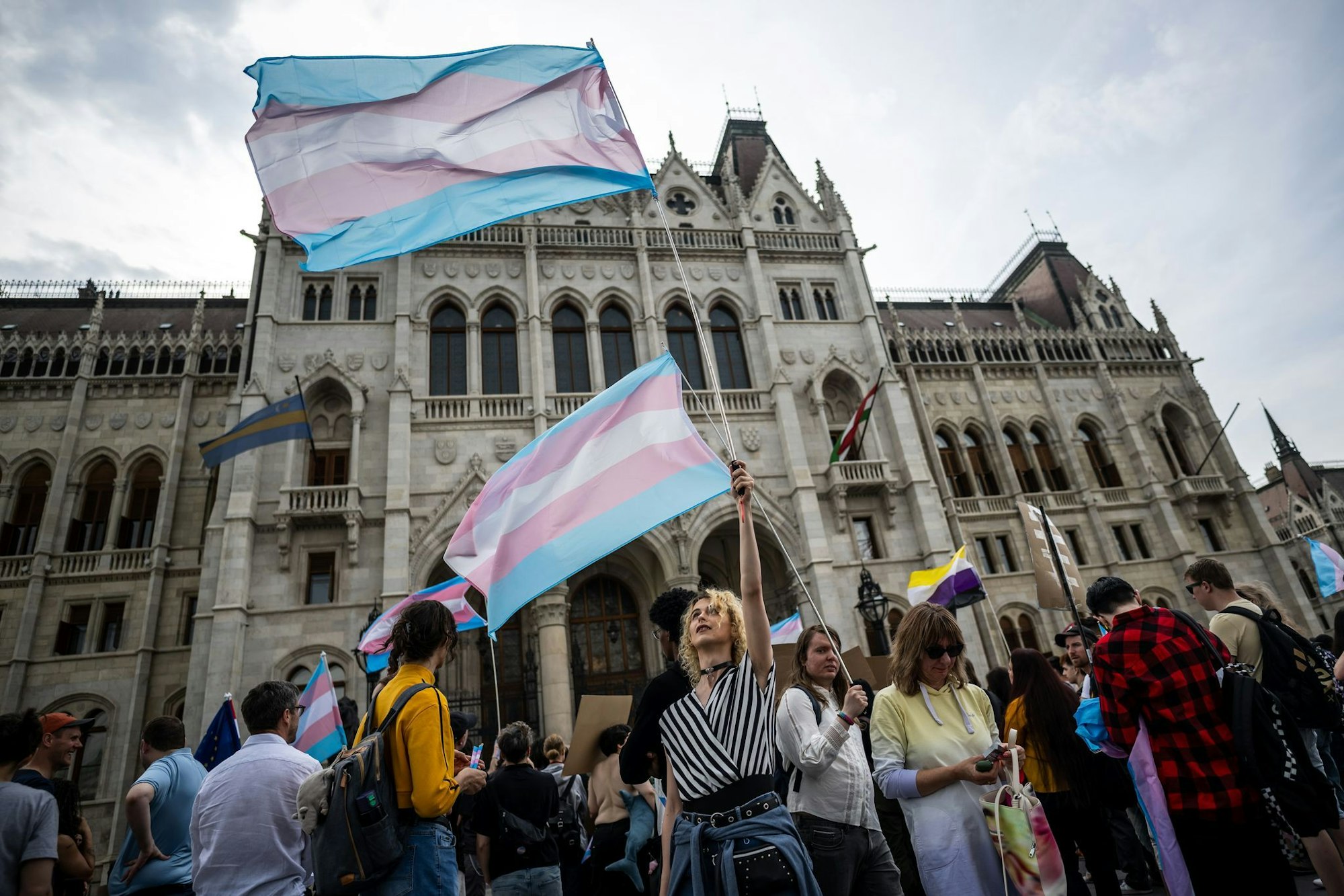 Fünf waagrecht verlaufende Streifen in den Farben Blau, Rosa und Weiß: Menschen schwenken bei einer Trans Pride Parade Transgender-Fahnen.