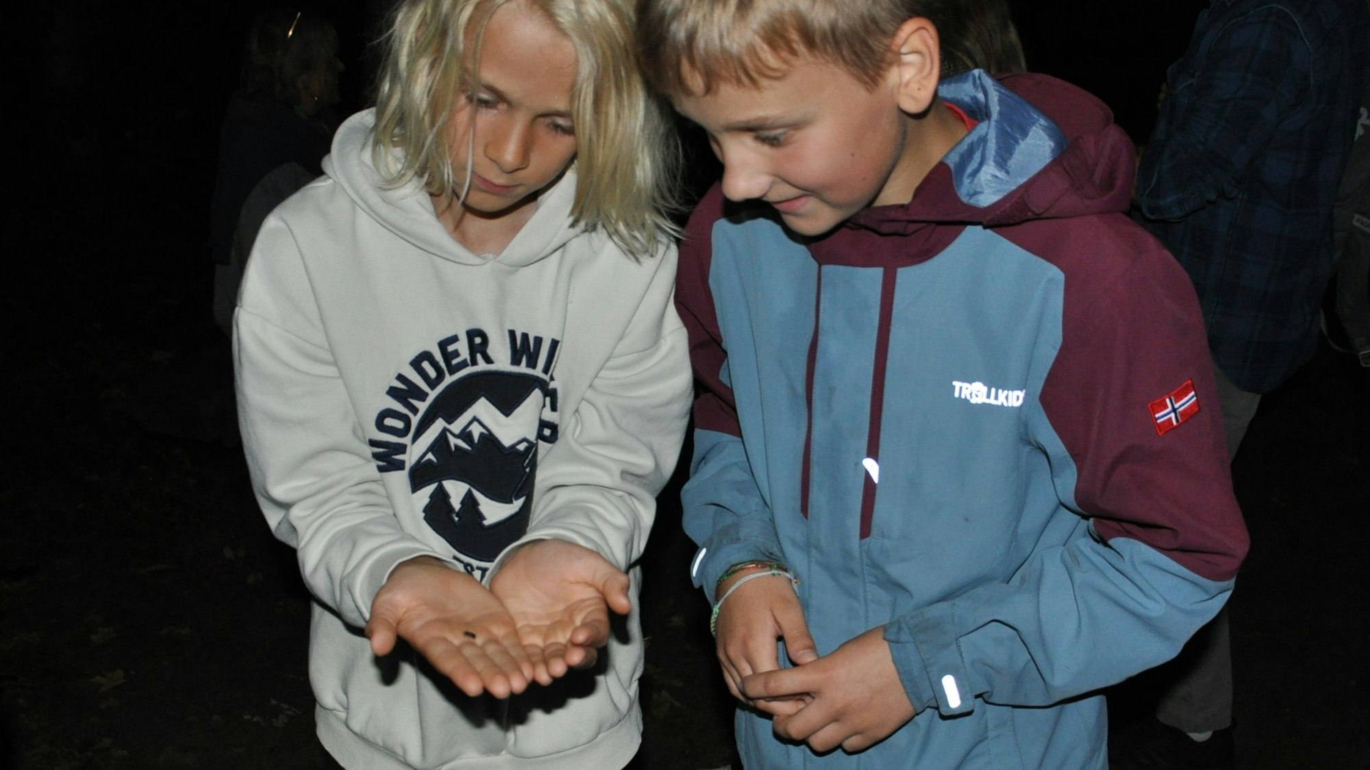 Auf dem Bild sind zwei Jungen zu sehen, die ein Glühwürmchen betrachten, das auf einer  Handinnenfläche sitzt.