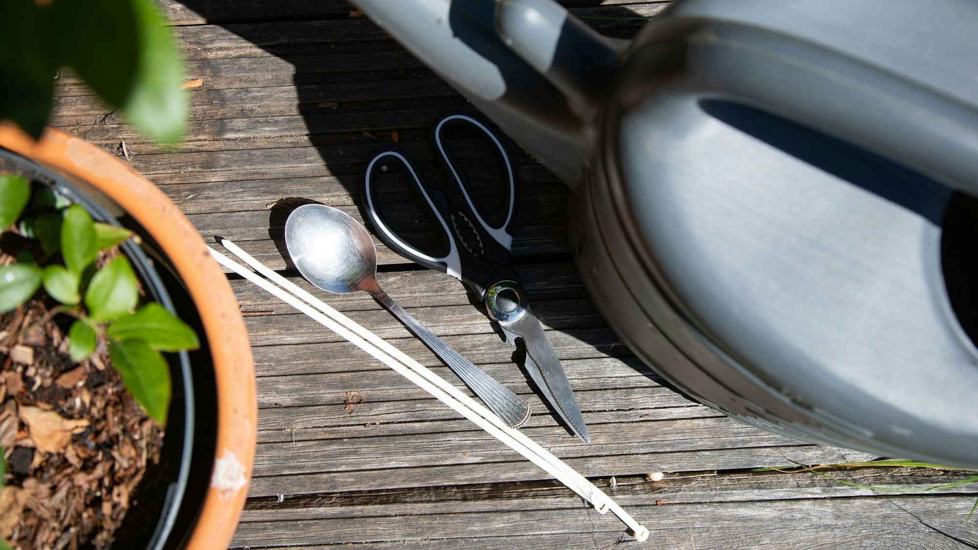 Gießen ohne Brausekopf: Lässt sich mit einem Löffel an der Gießkanne eine größere Fläche bewässern?