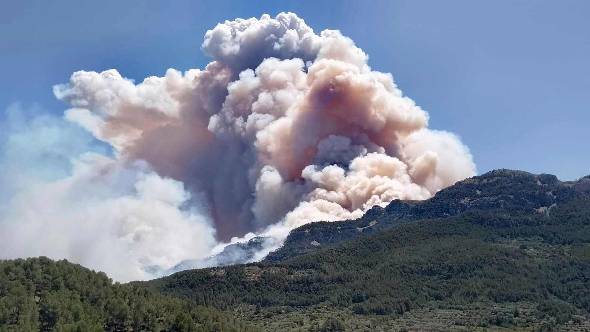 Auf diesem von Agents Rurals de Catalunya veröffentlichten Foto wütet ein unkontrolliertes Feuer im Wald von Pauls in der Provinz Tarragona.