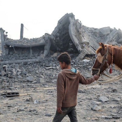 Ein palästinensischer Junge führt ein Pferd durch Trümmer in Gaza. (Archivbild)