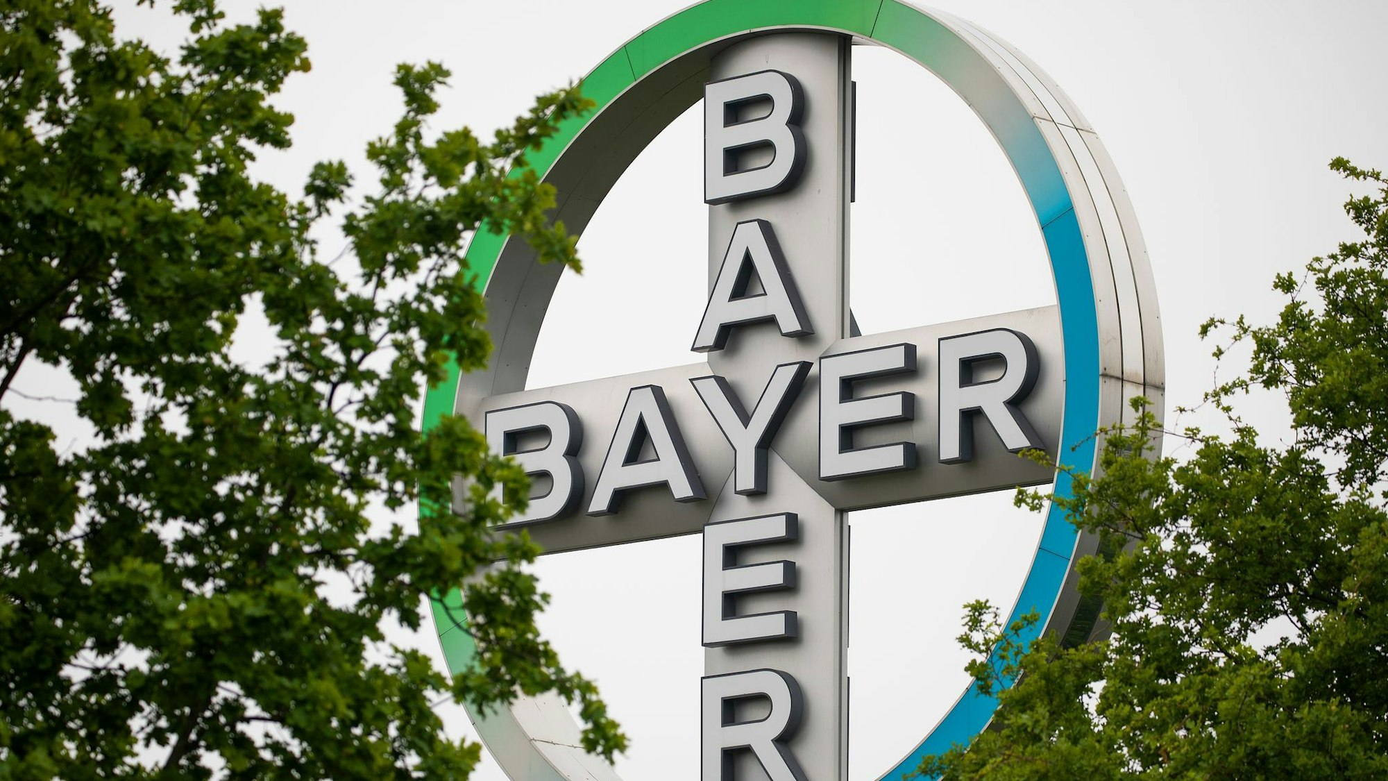 Bayer steckt in einer schwierigen Phase - auch wegen milliardenschwerer Rechtsrisiken aus dem Glyphosat-Geschäft in den USA. (Archivbild)