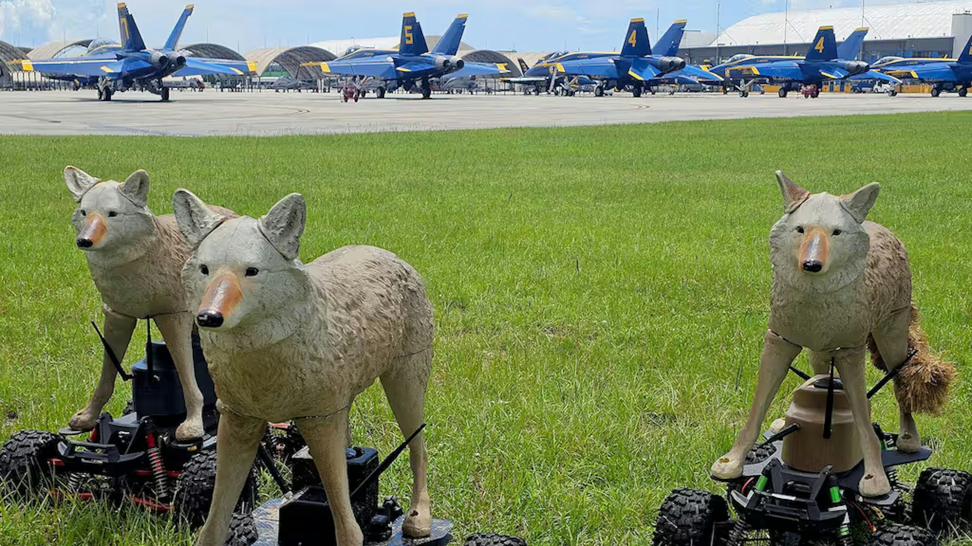 Die „Coyote Rovers“ sind Prototypen, die Wildtiere von Militärflughäfen fernhalten sollen.